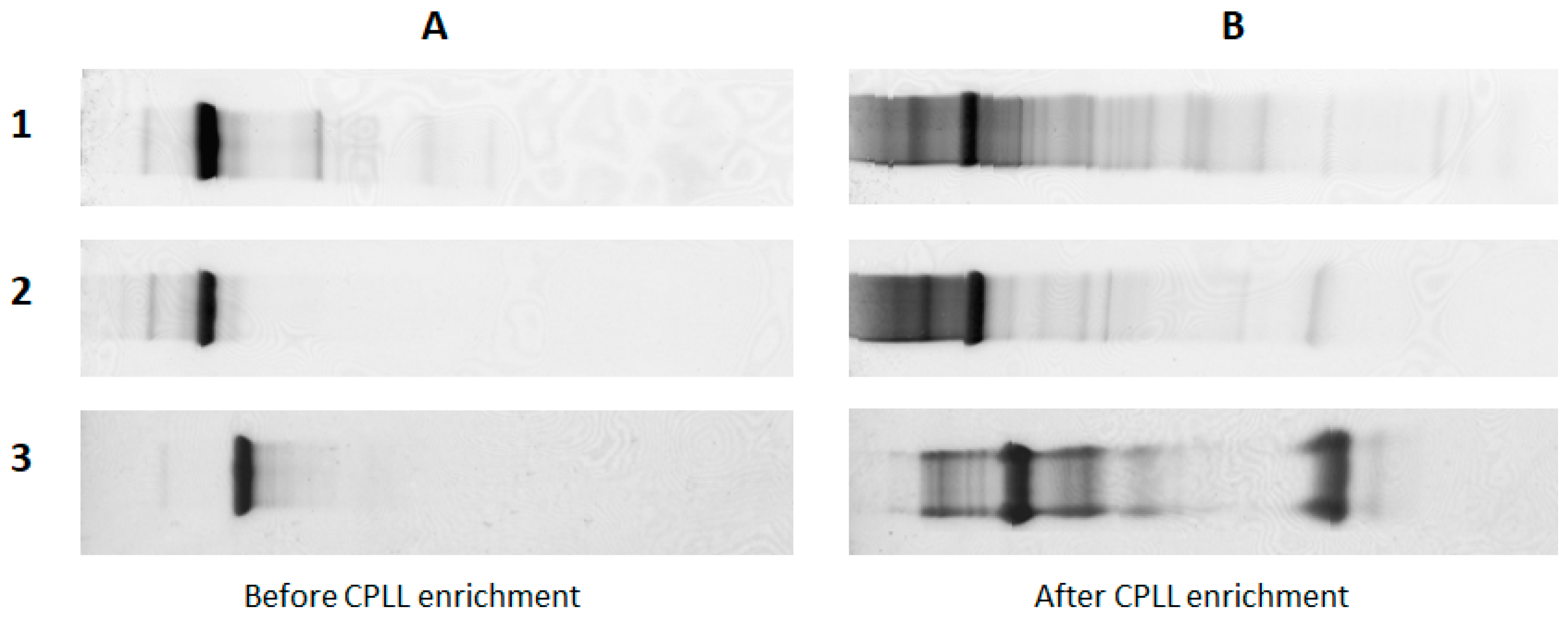 Ijms 24 10329 g004 Ijms 24 10329 g004
