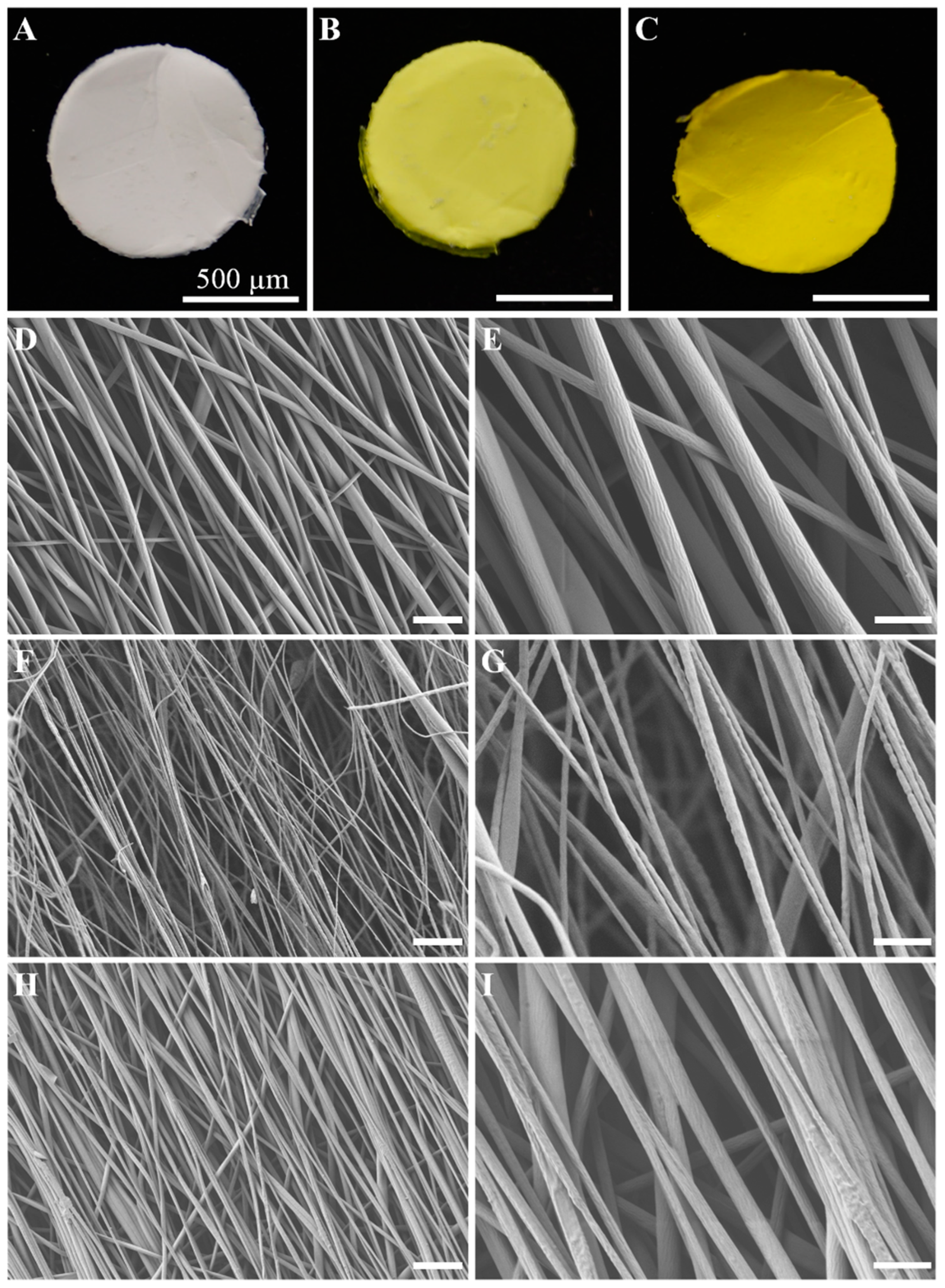 Ijms 24 10340 g001 Ijms 24 10340 g001