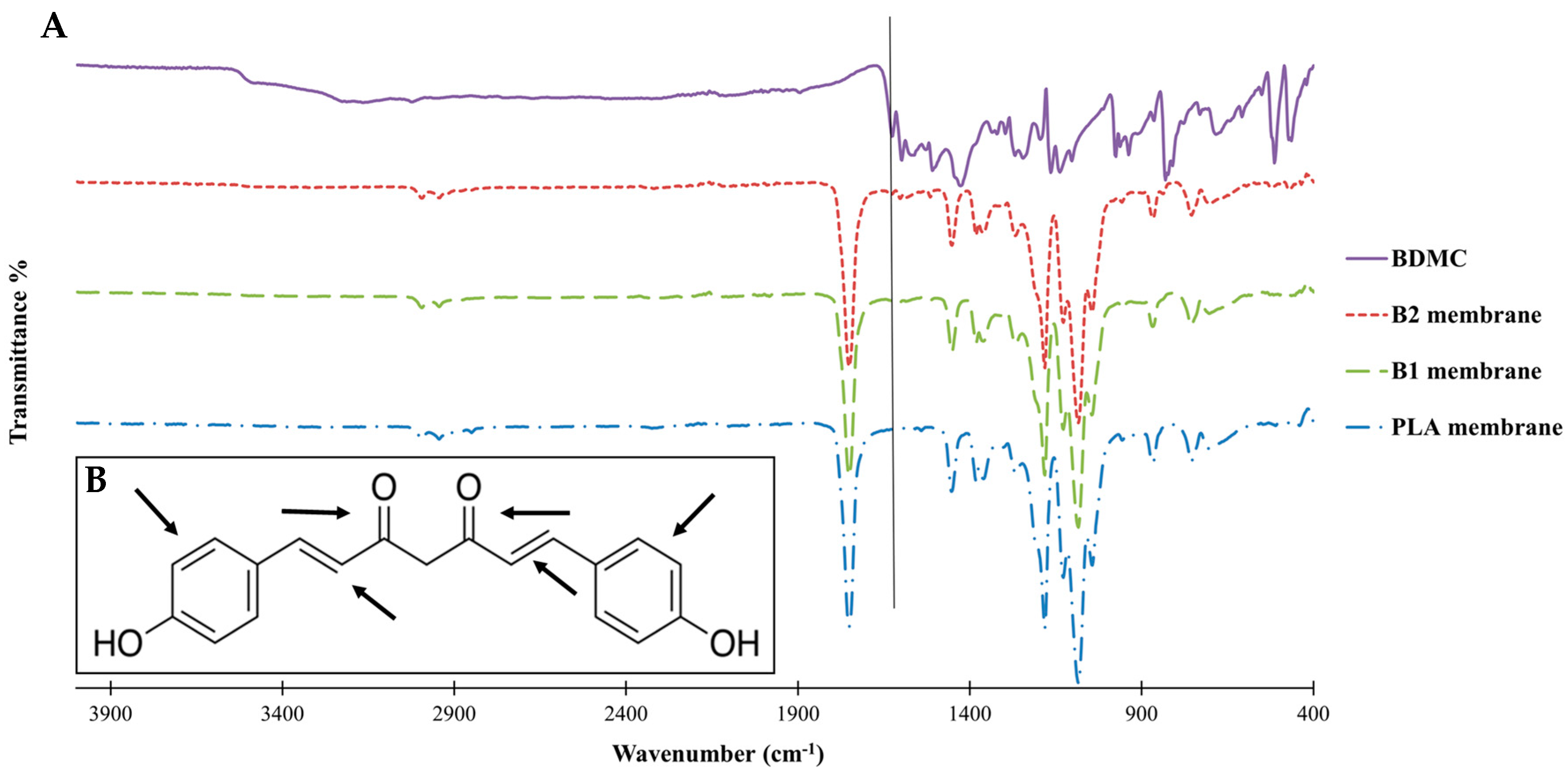 Ijms 24 10340 g002 Ijms 24 10340 g002