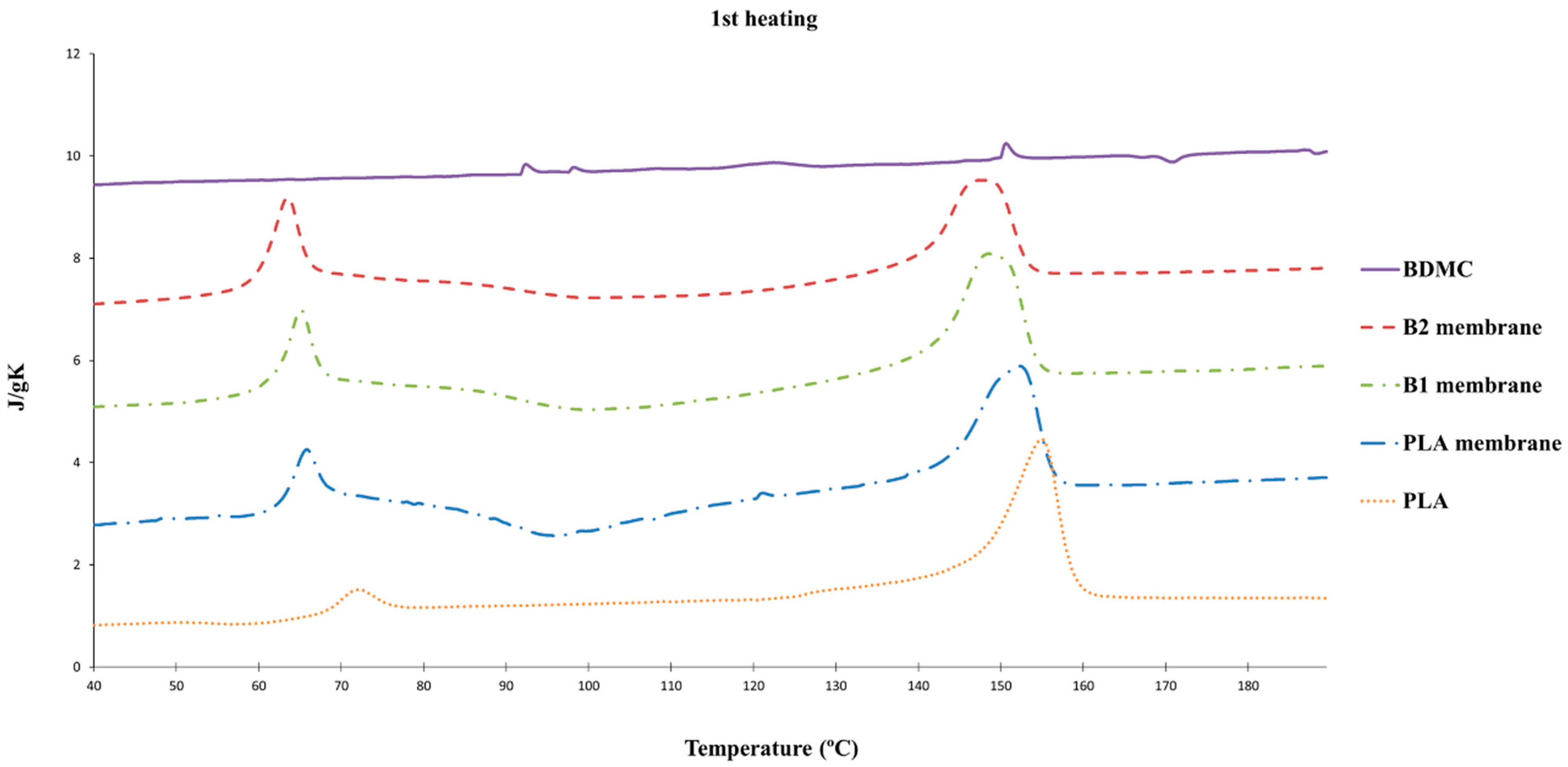Ijms 24 10340 g003 Ijms 24 10340 g003