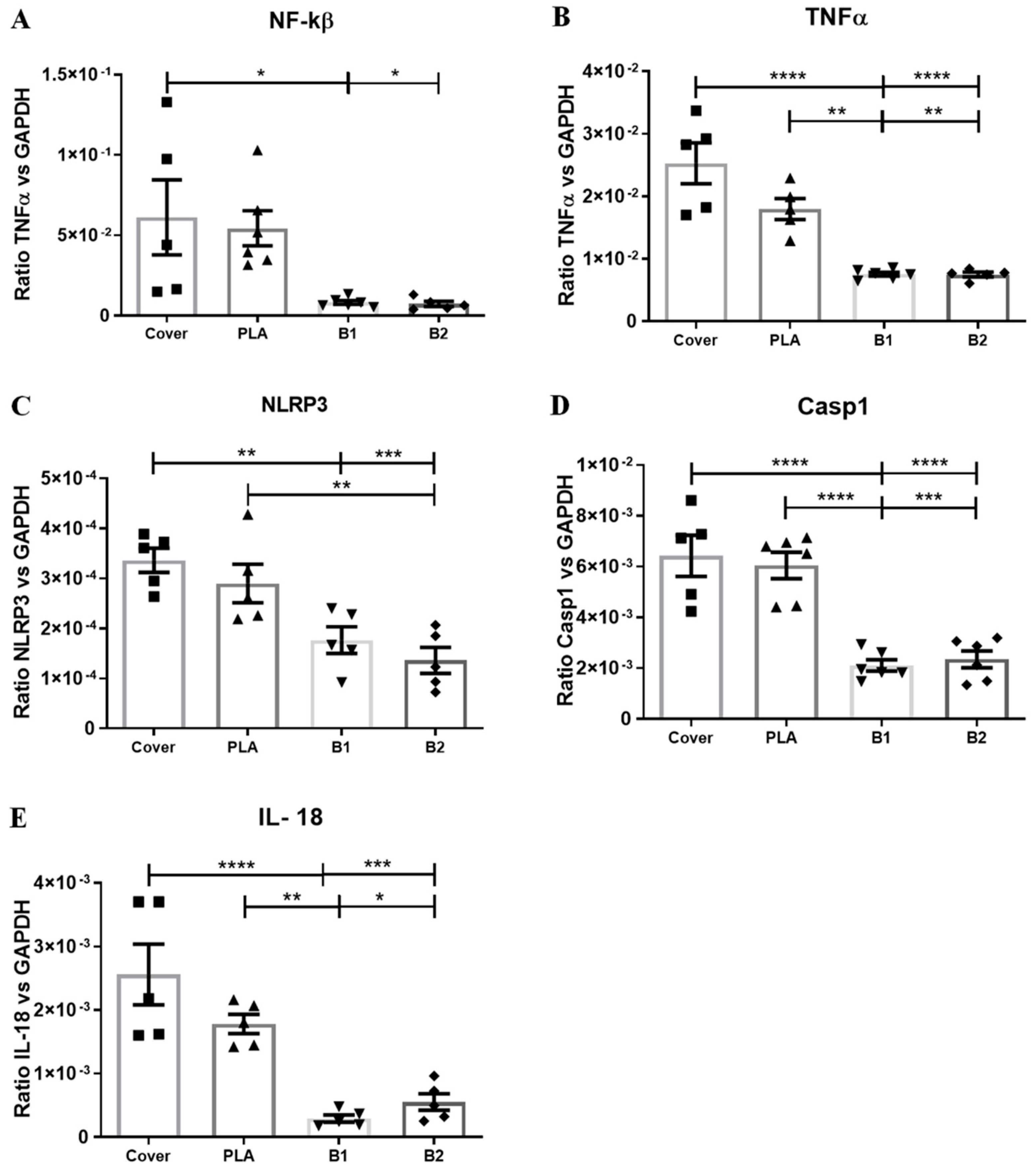 Ijms 24 10340 g008 Ijms 24 10340 g008