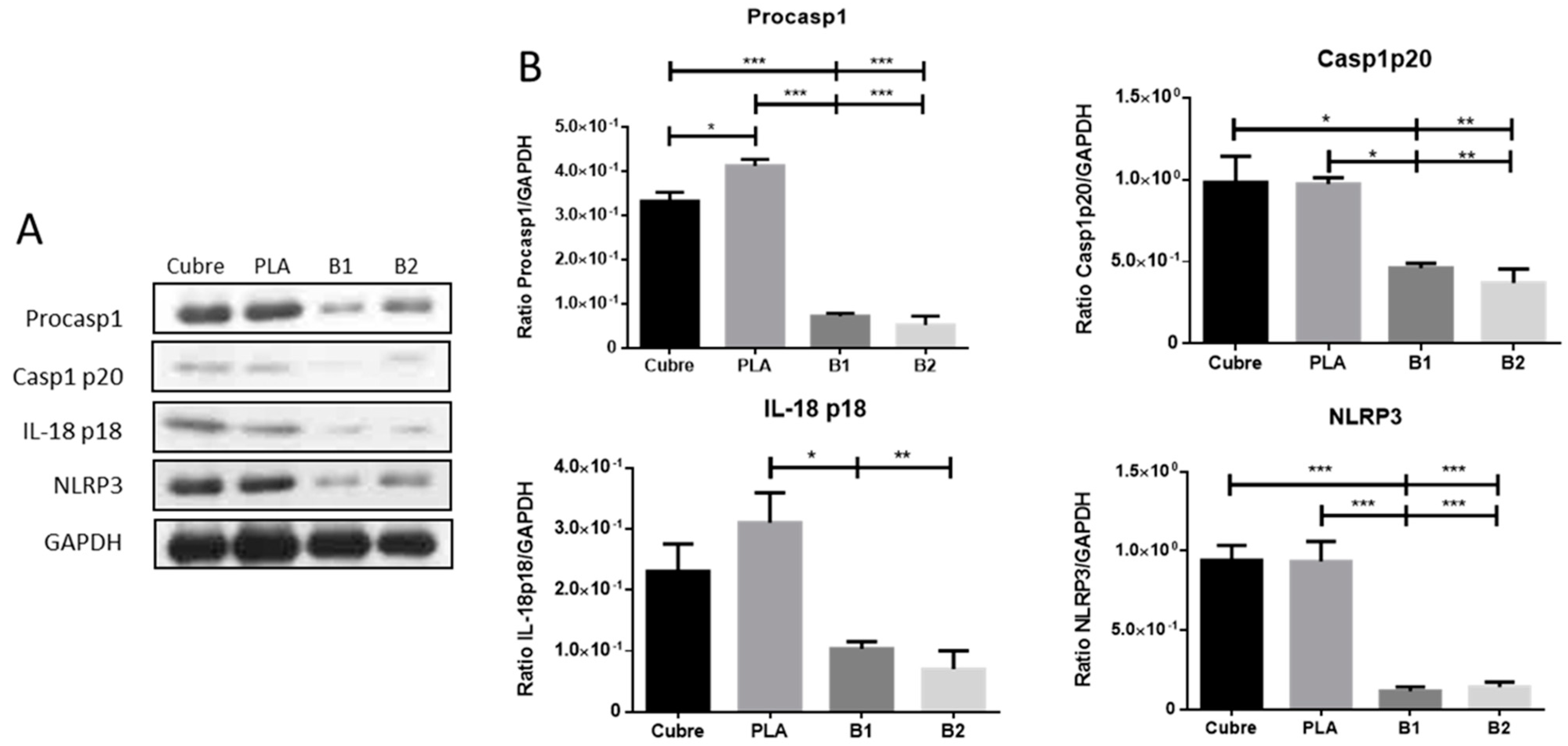 Ijms 24 10340 g009 Ijms 24 10340 g009
