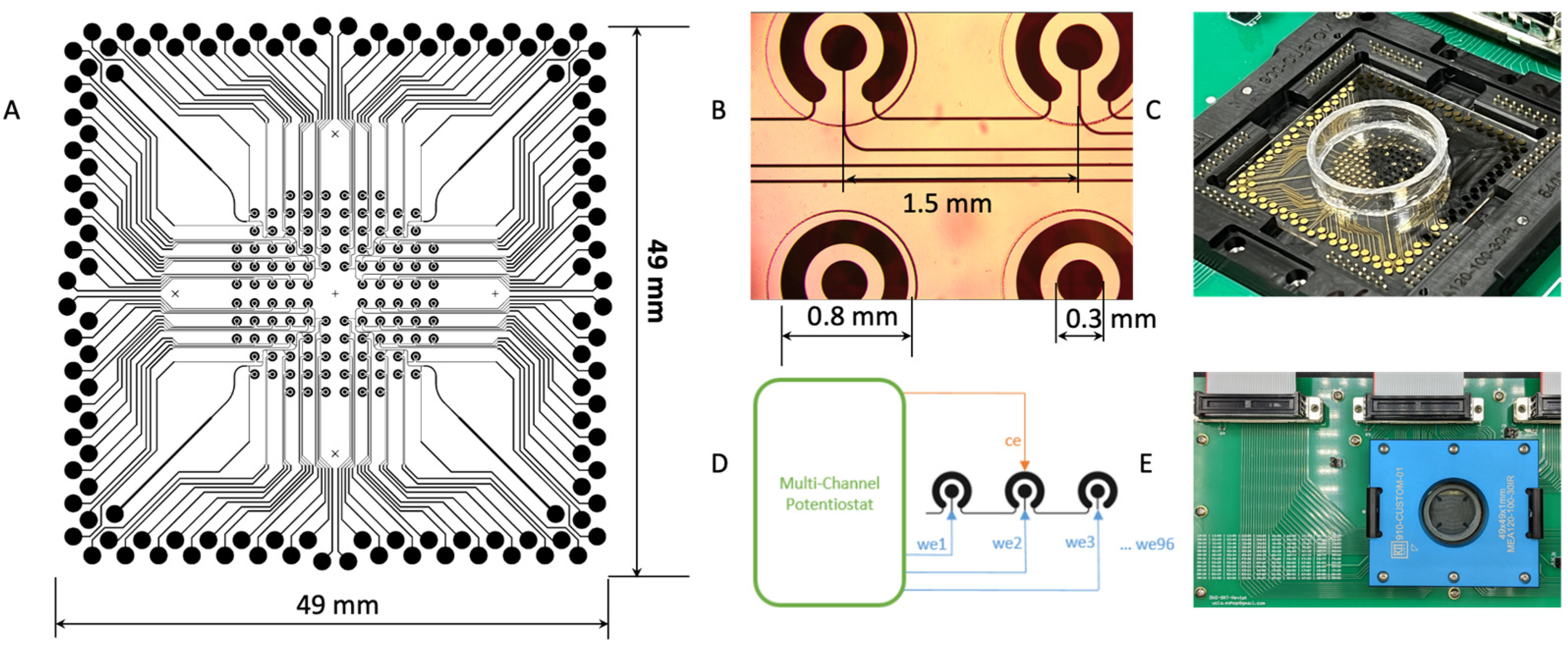 Ijms 24 10387 g004 Ijms 24 10387 g004