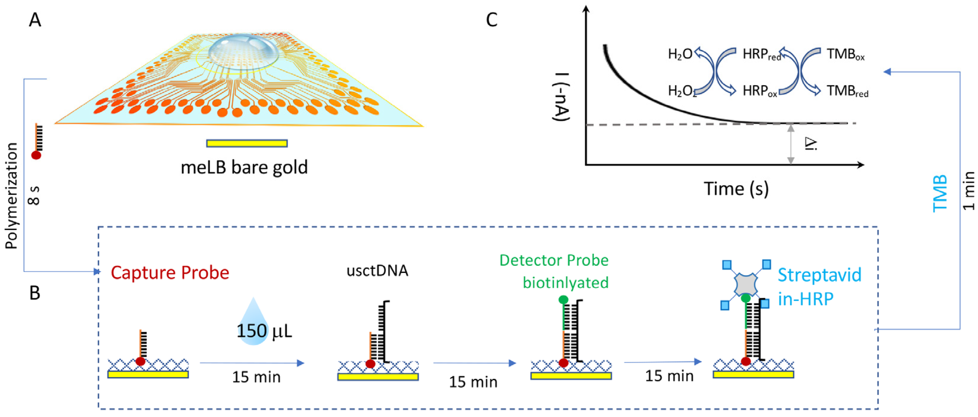 Ijms 24 10387 g005 Ijms 24 10387 g005