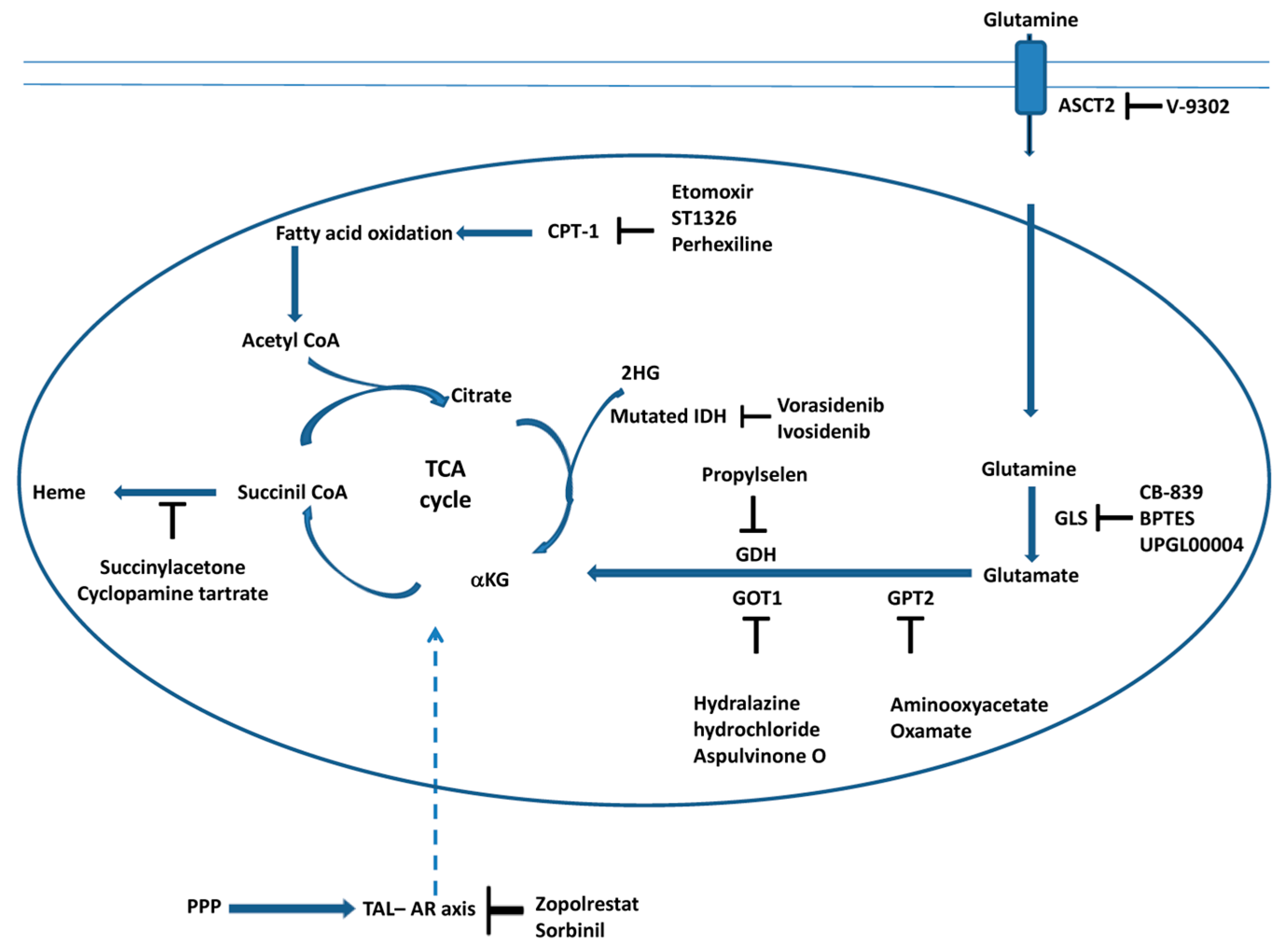 Ijms 24 10420 g002 Ijms 24 10420 g002