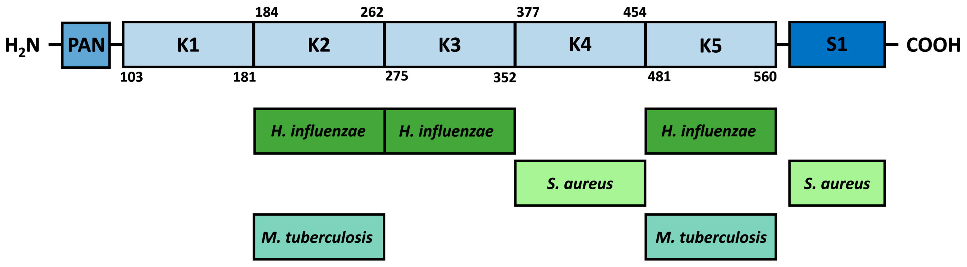 Ijms 24 10436 g003 Ijms 24 10436 g003