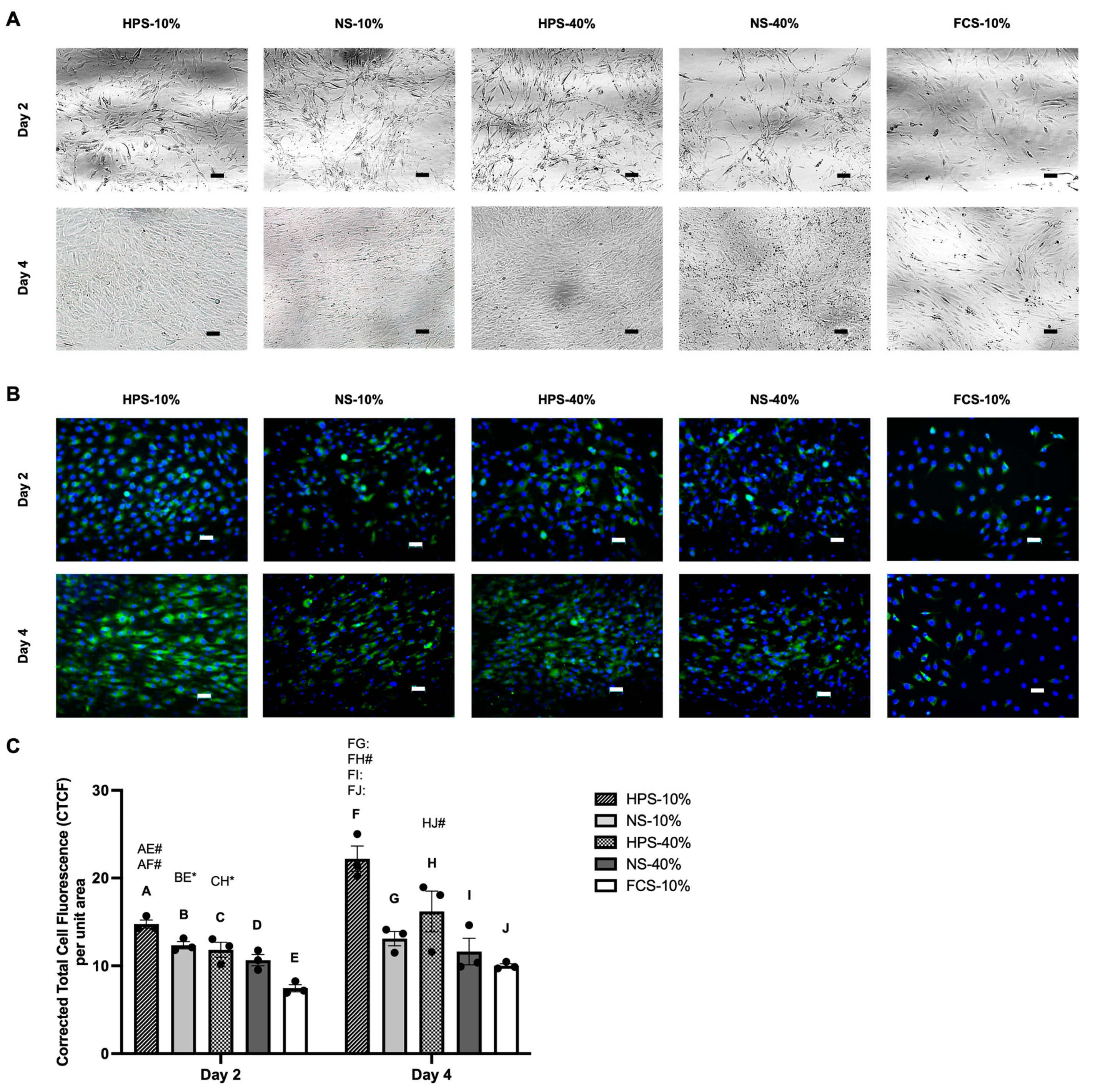 Ijms 24 10441 g003 Ijms 24 10441 g003