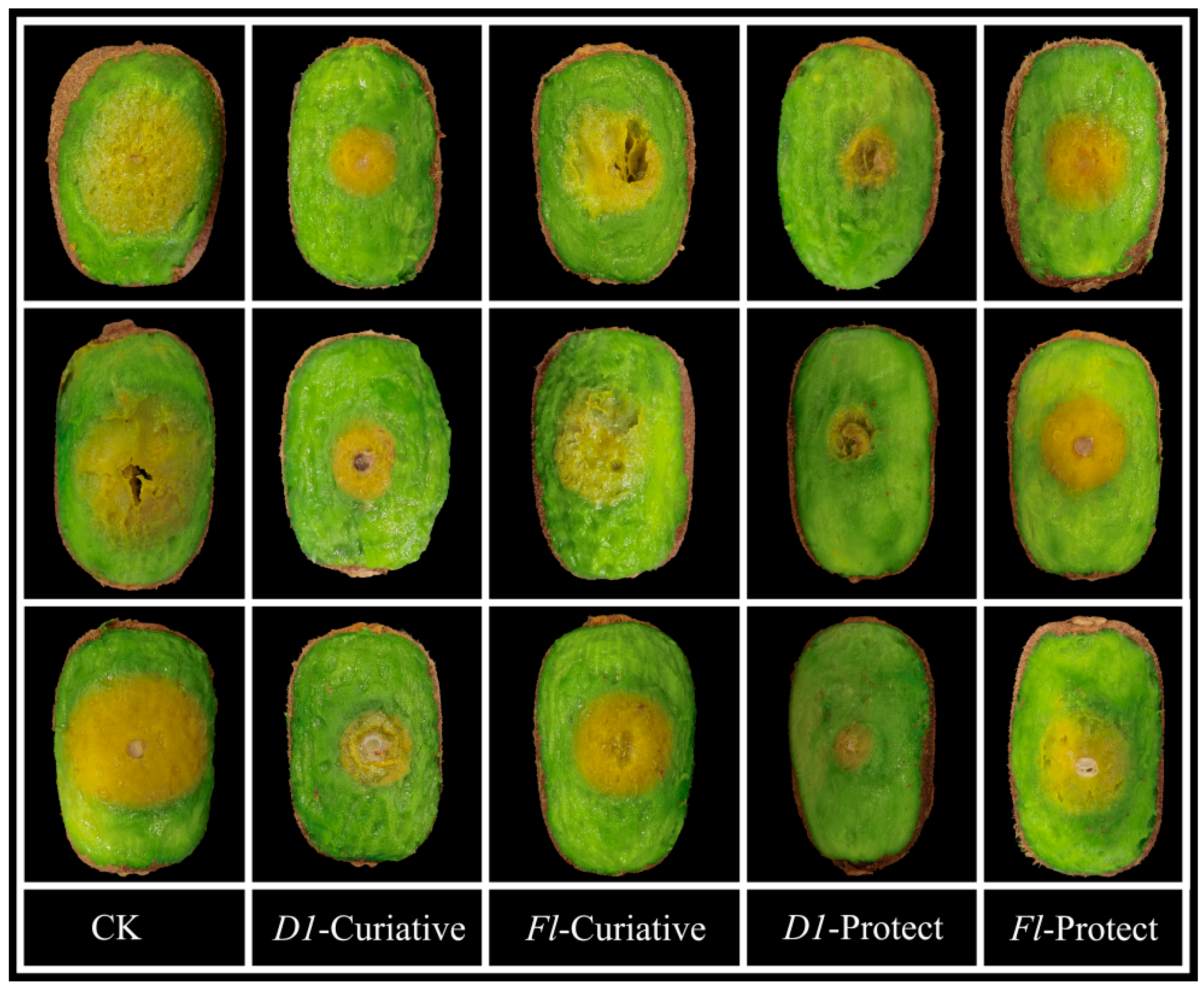 Ijms 24 10442 g005 Ijms 24 10442 g005