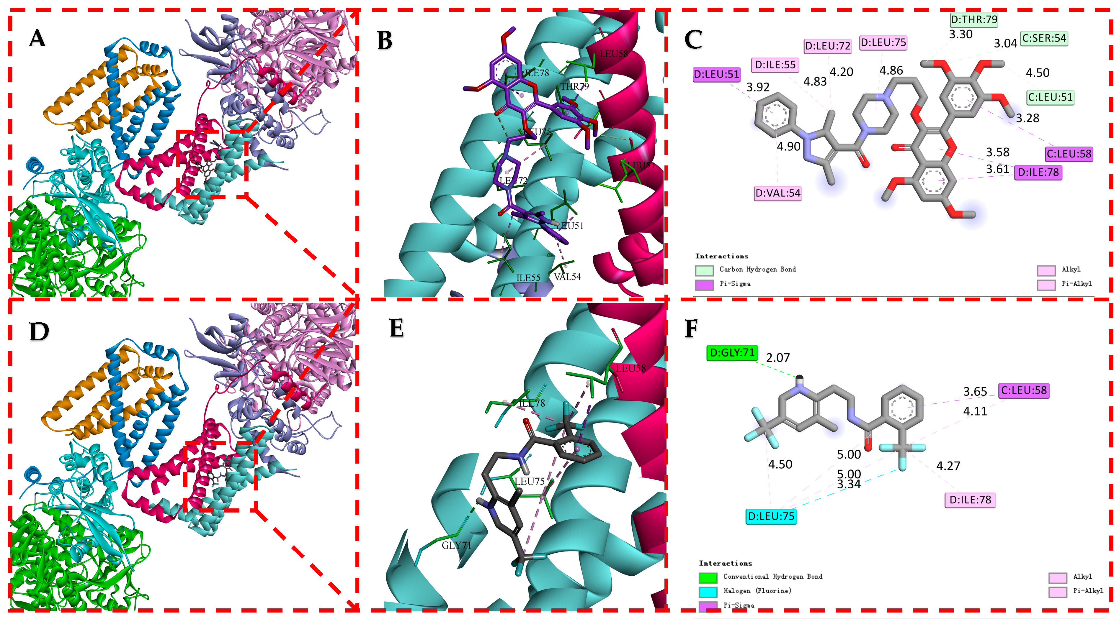 Ijms 24 10442 g008 Ijms 24 10442 g008