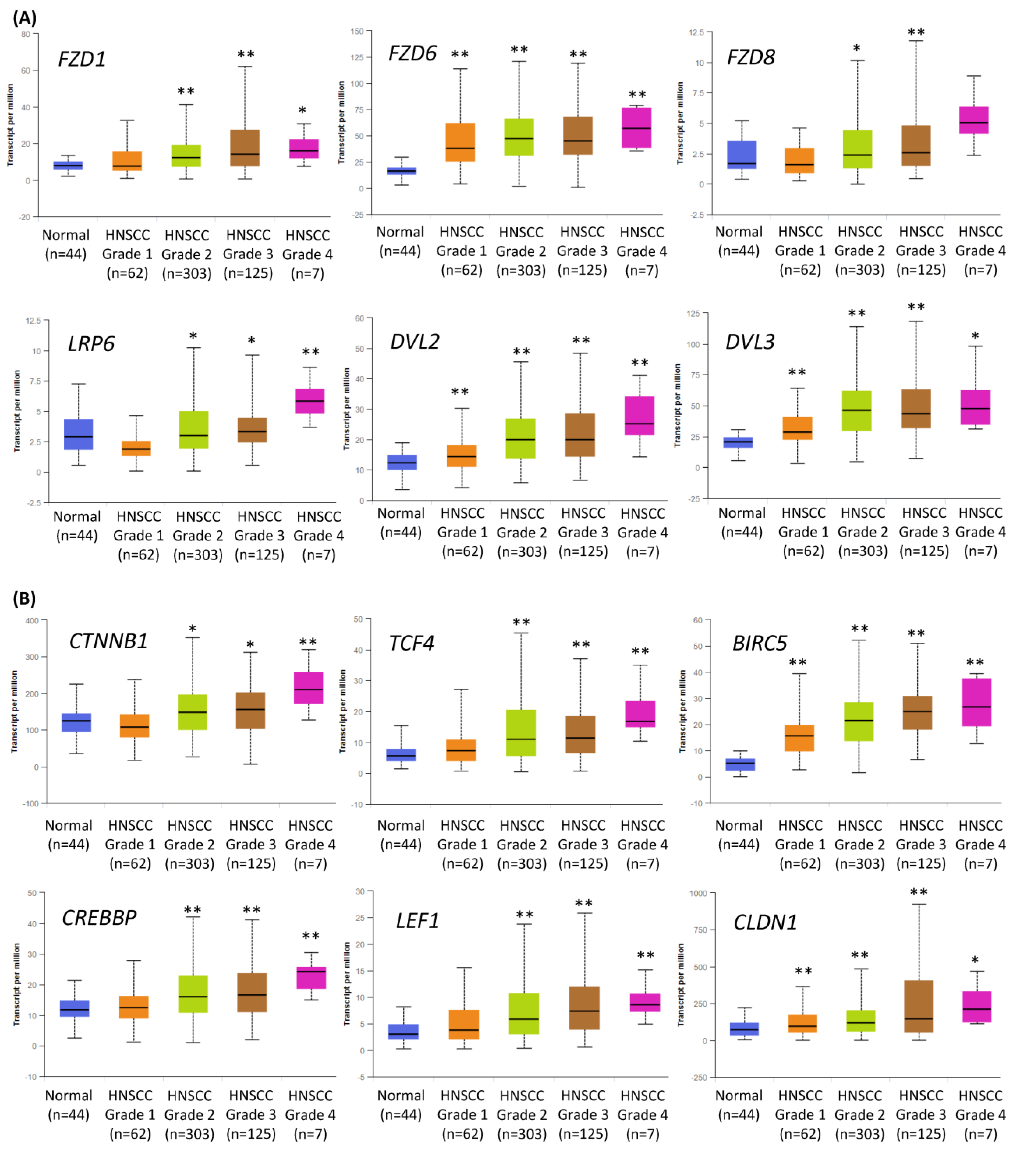 Ijms 24 10448 g001 Ijms 24 10448 g001