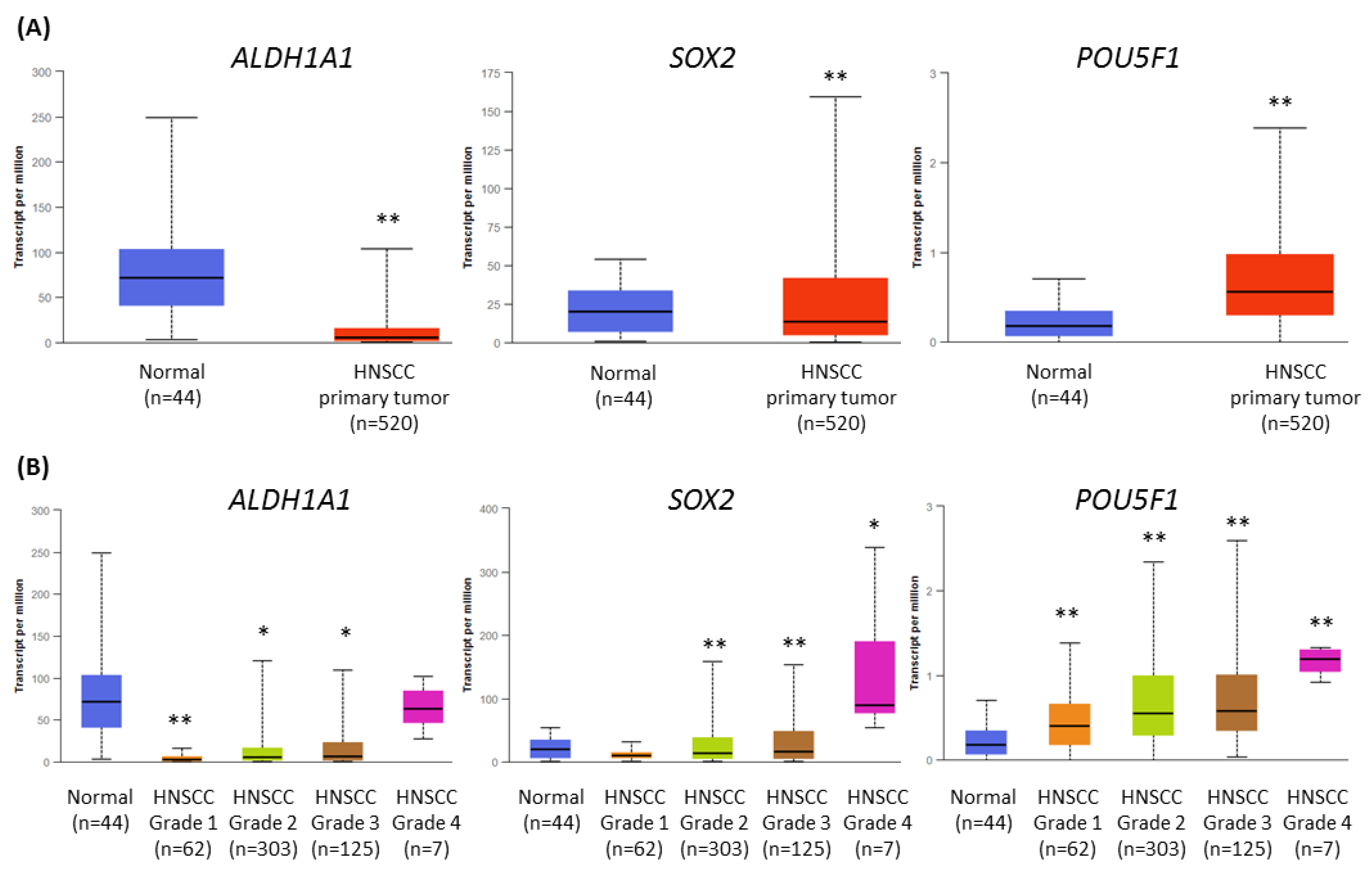 Ijms 24 10448 g007 Ijms 24 10448 g007