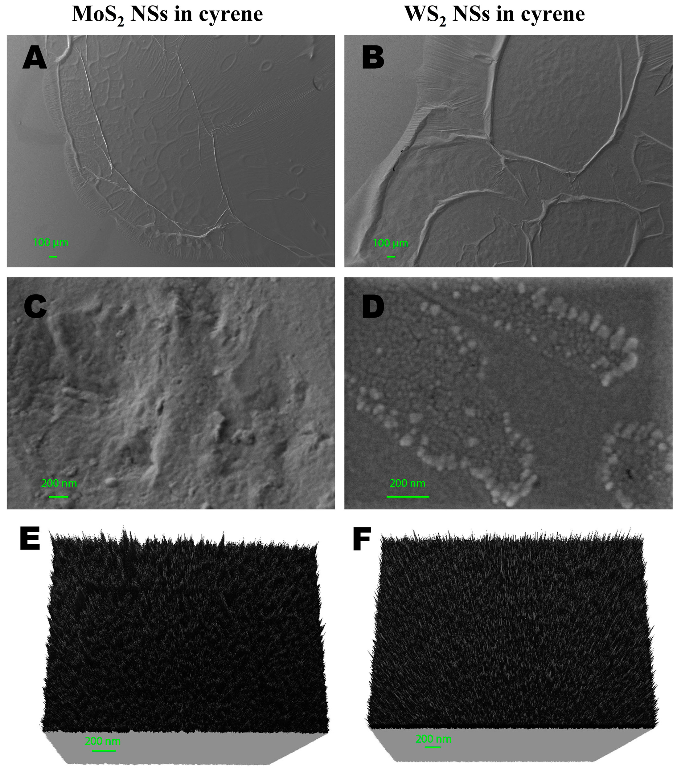 Ijms 24 10450 g004 Ijms 24 10450 g004