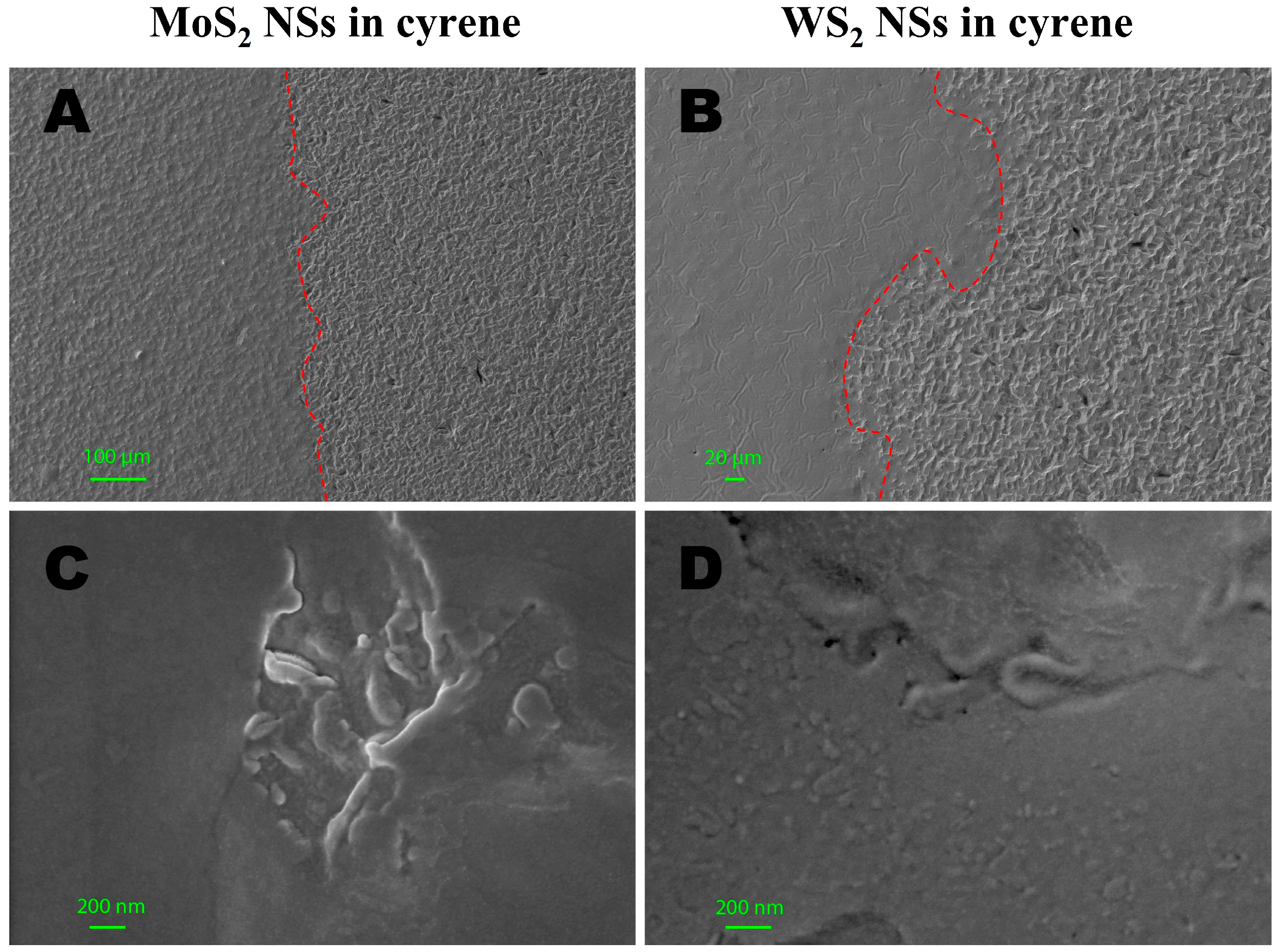 Ijms 24 10450 g005 Ijms 24 10450 g005