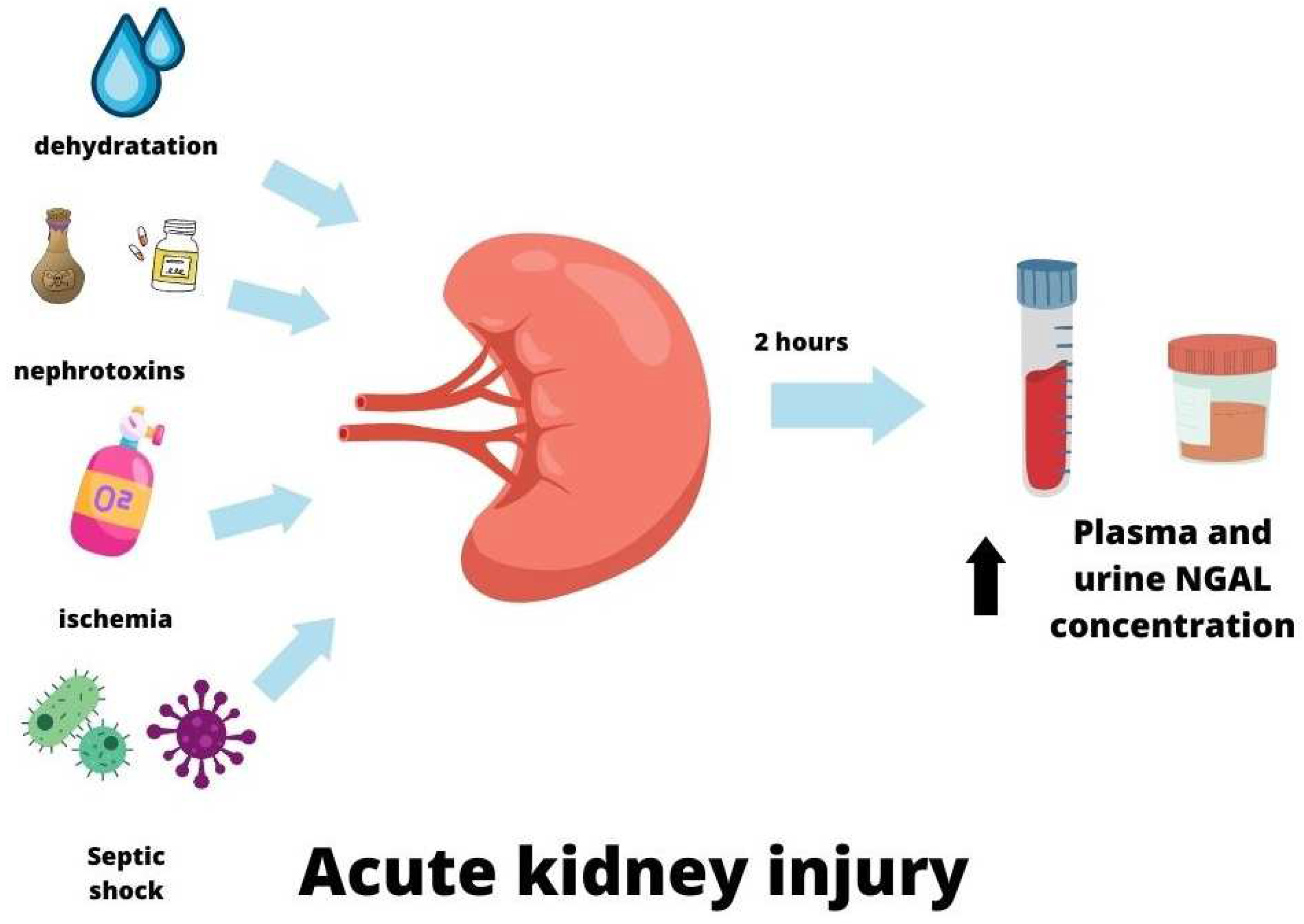 Ijms 24 10470 g003 Ijms 24 10470 g003