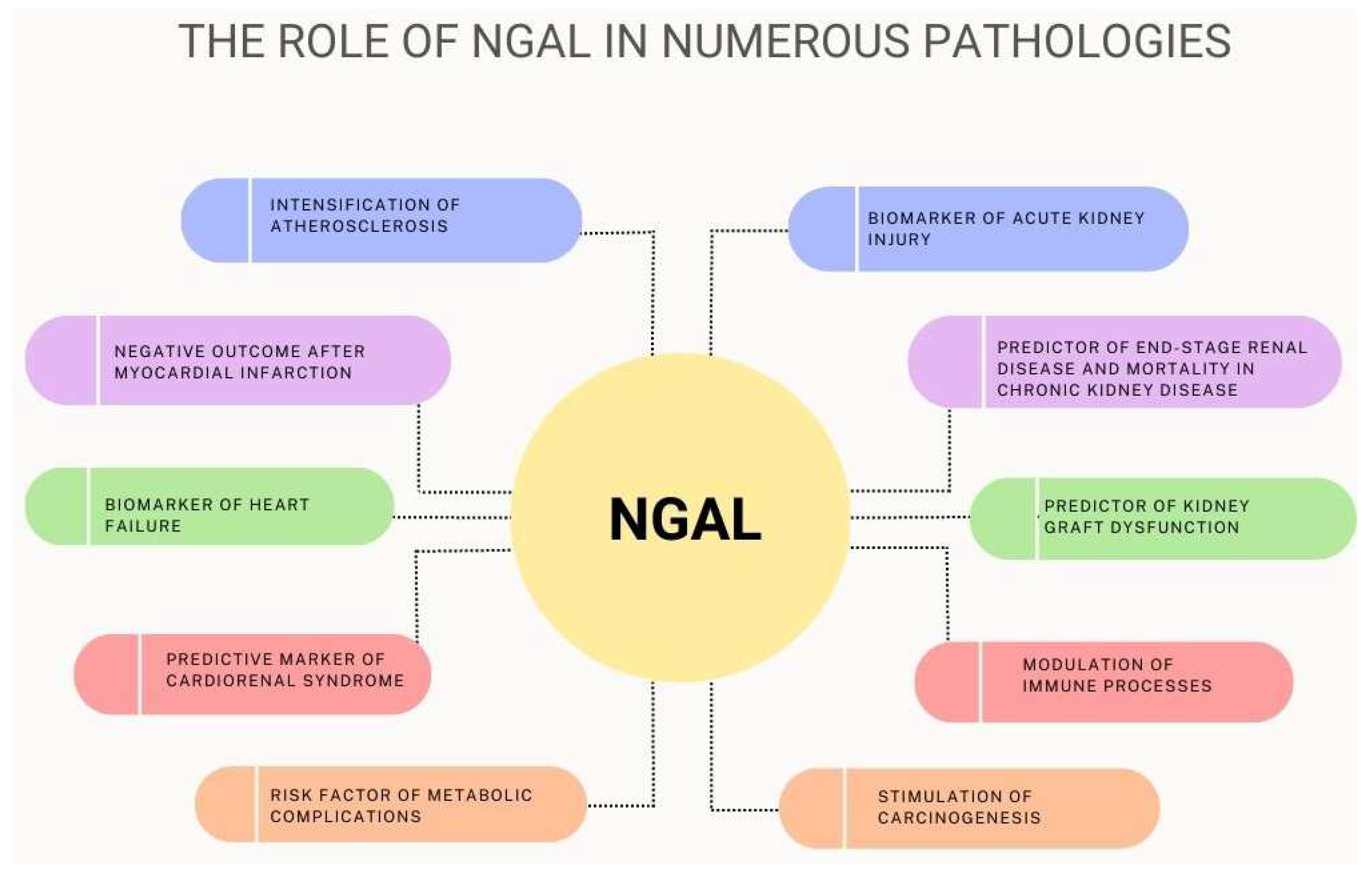 Ijms 24 10470 g004 Ijms 24 10470 g004