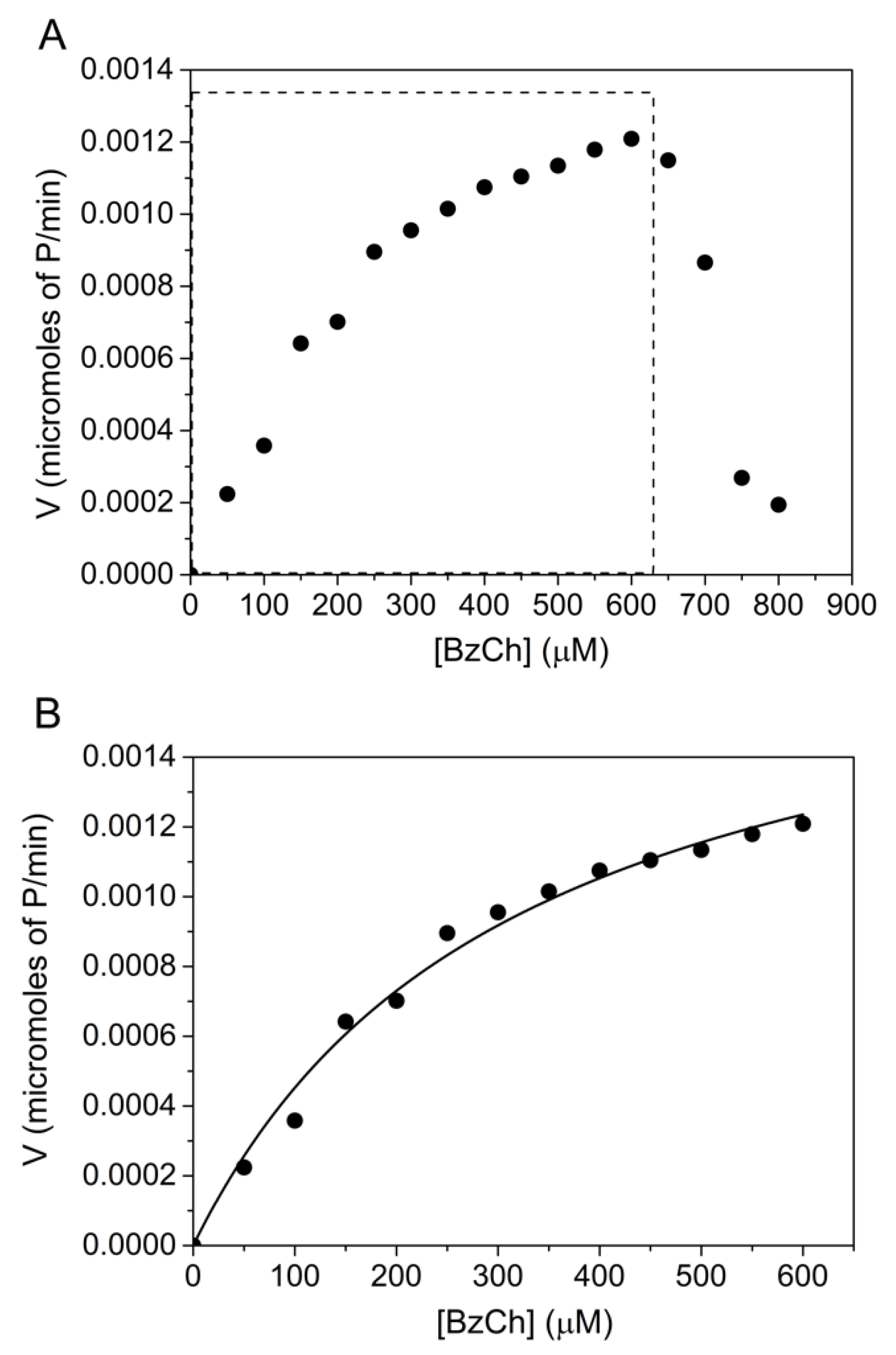 Ijms 24 10472 g004 Ijms 24 10472 g004