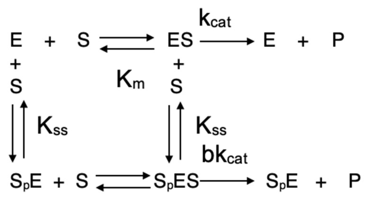 Ijms 24 10472 sch002 Ijms 24 10472 sch002