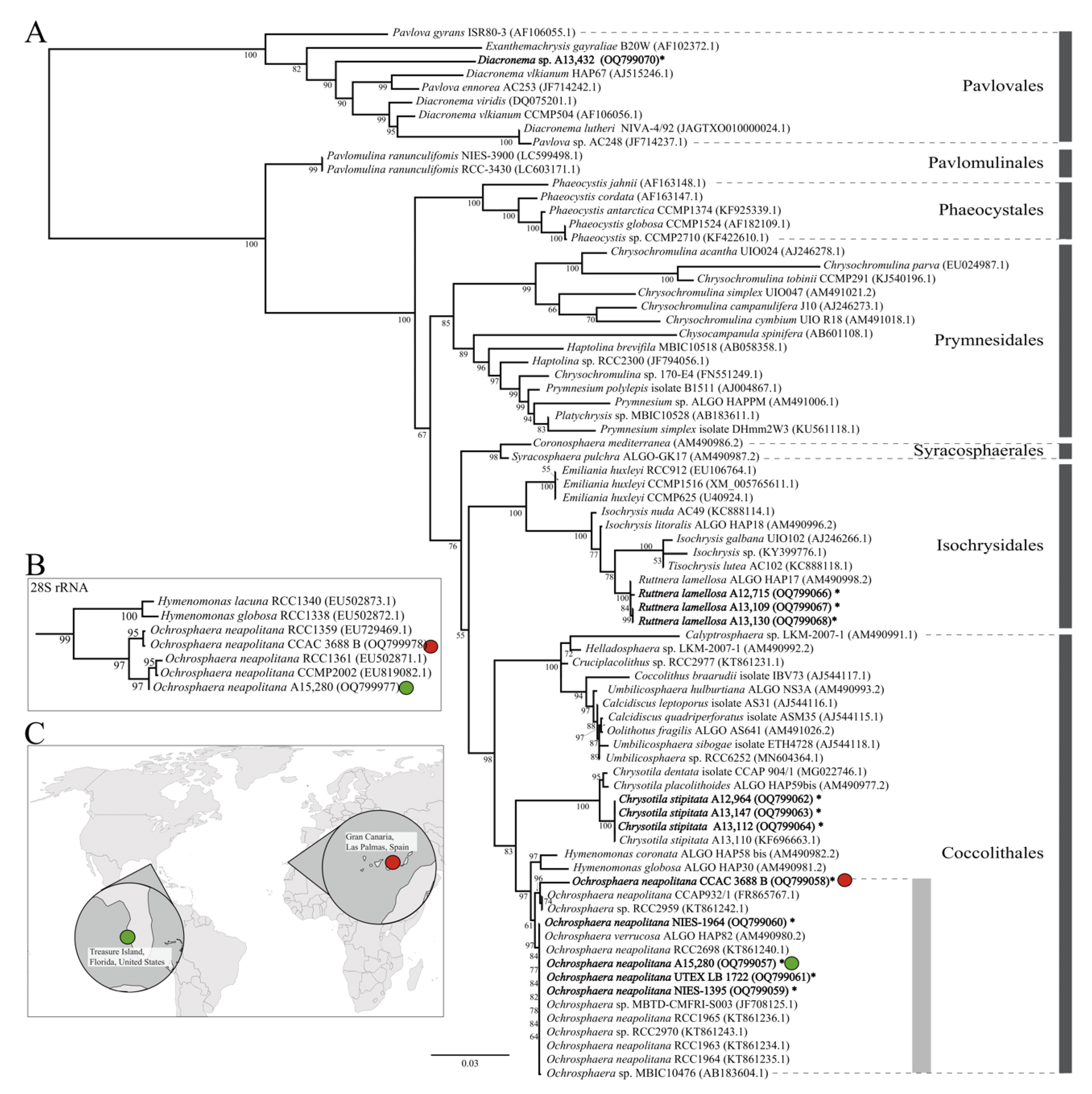 Ijms 24 10485 g001 Ijms 24 10485 g001