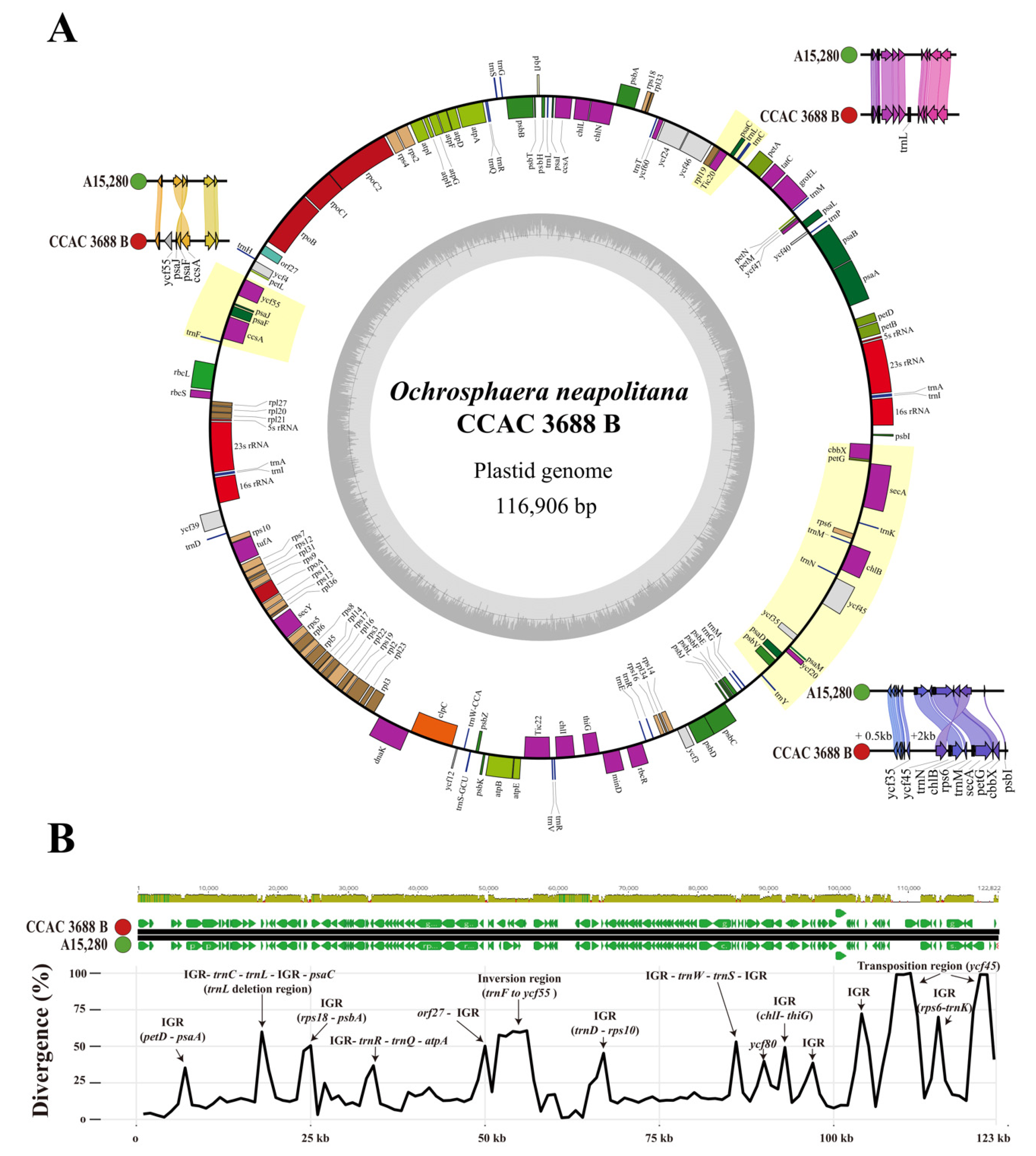 Ijms 24 10485 g003 Ijms 24 10485 g003