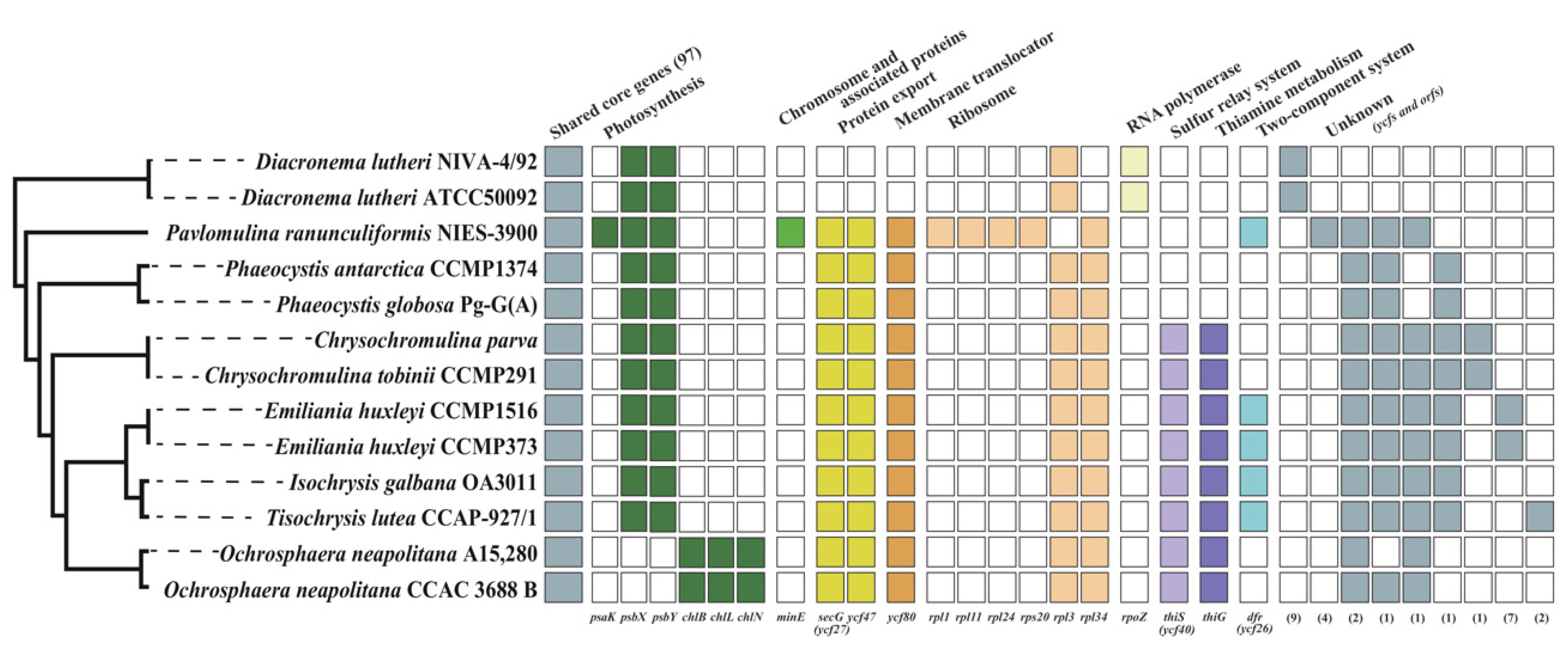 Ijms 24 10485 g005 Ijms 24 10485 g005
