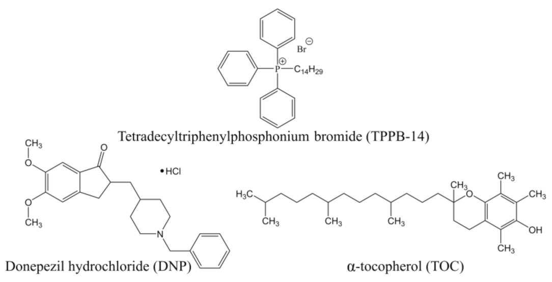 Ijms 24 10494 g001 Ijms 24 10494 g001