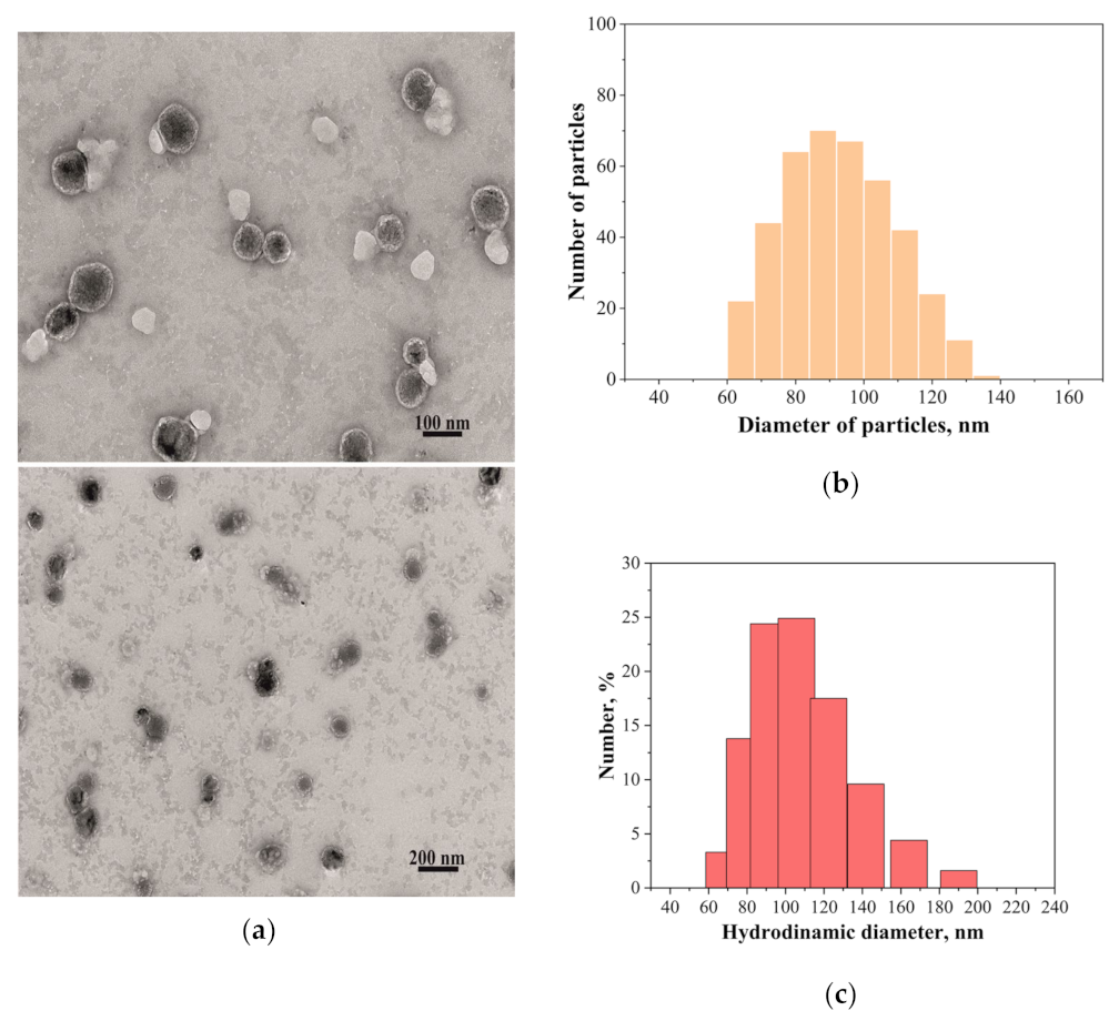 Ijms 24 10494 g003 Ijms 24 10494 g003