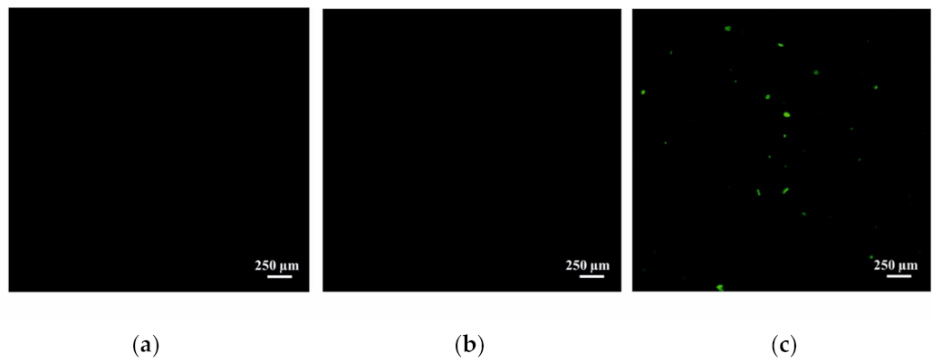 Ijms 24 10494 g006 Ijms 24 10494 g006