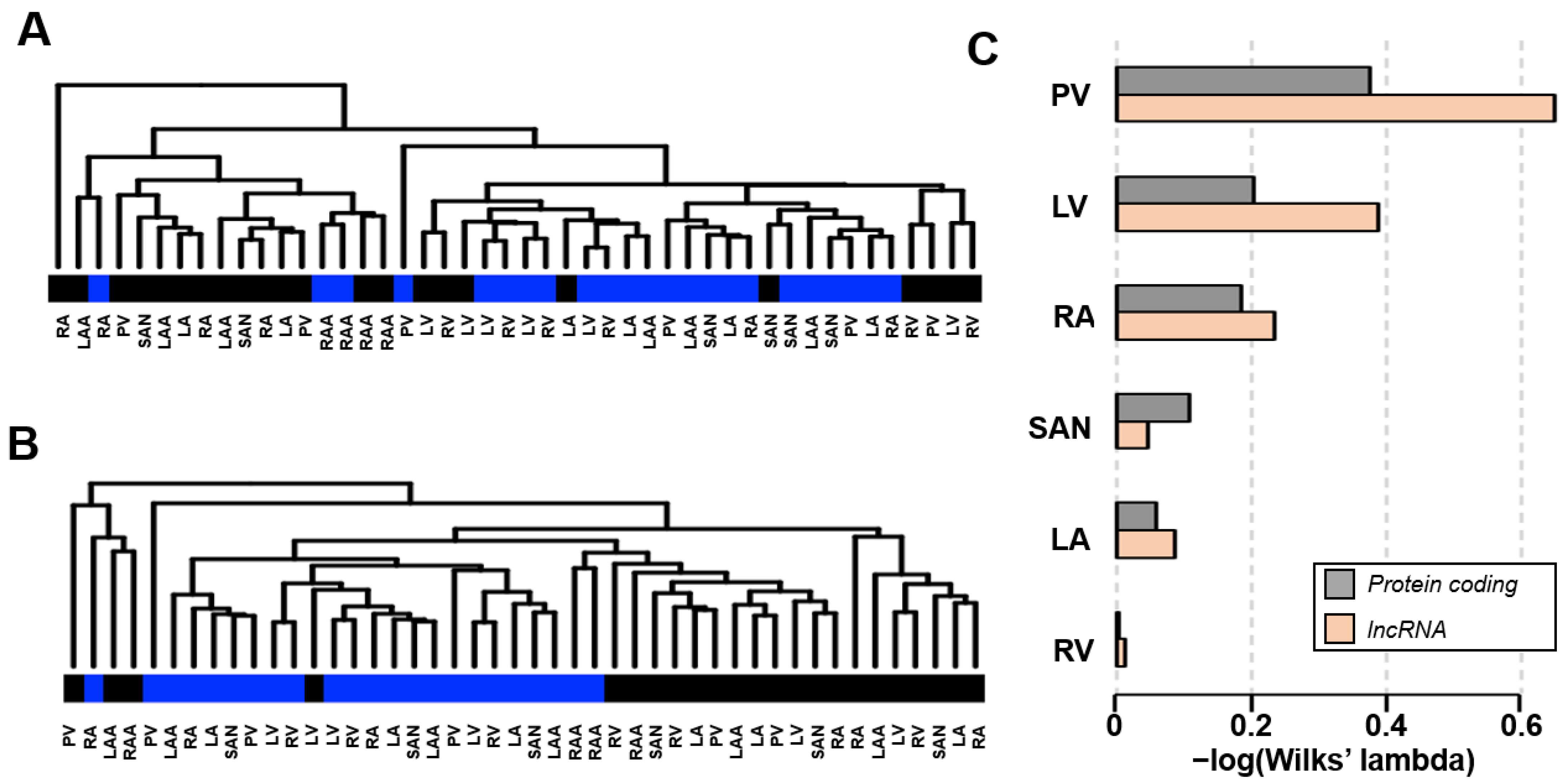 Ijms 24 10501 g001 Ijms 24 10501 g001