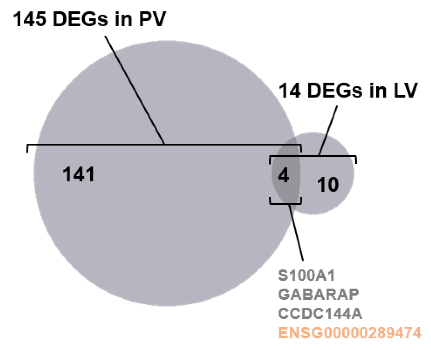 Ijms 24 10501 g002 Ijms 24 10501 g002
