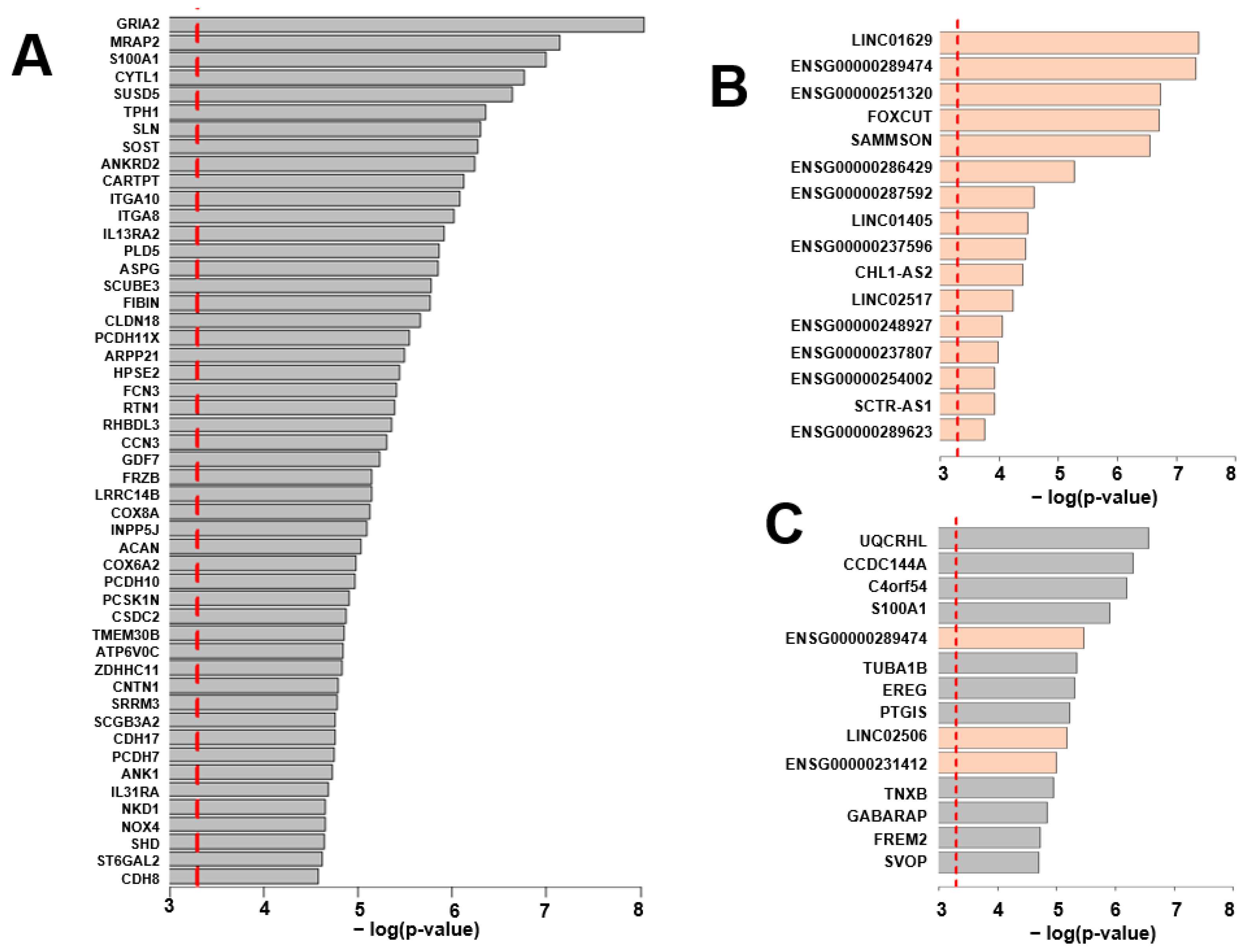 Ijms 24 10501 g003 Ijms 24 10501 g003