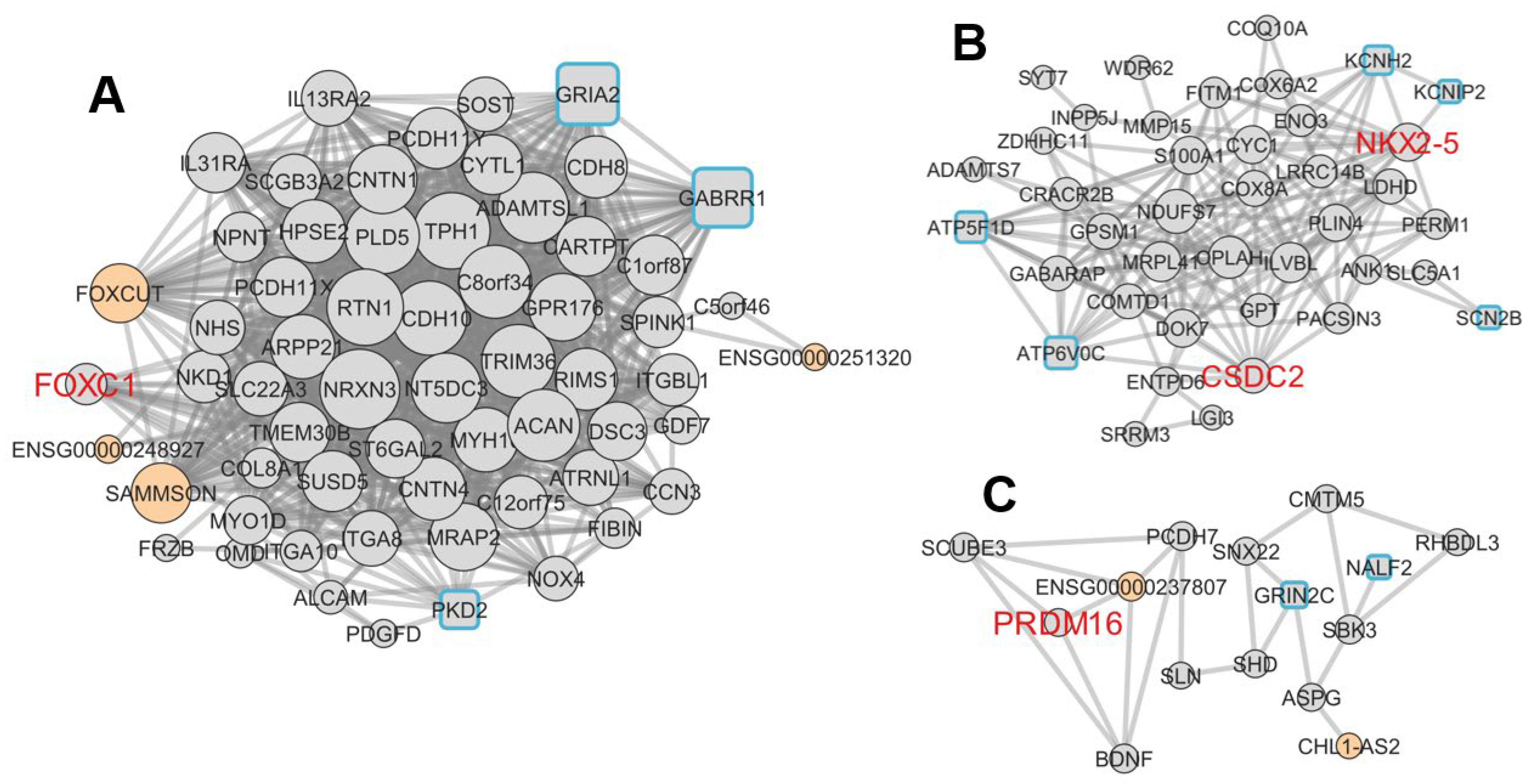 Ijms 24 10501 g006 Ijms 24 10501 g006