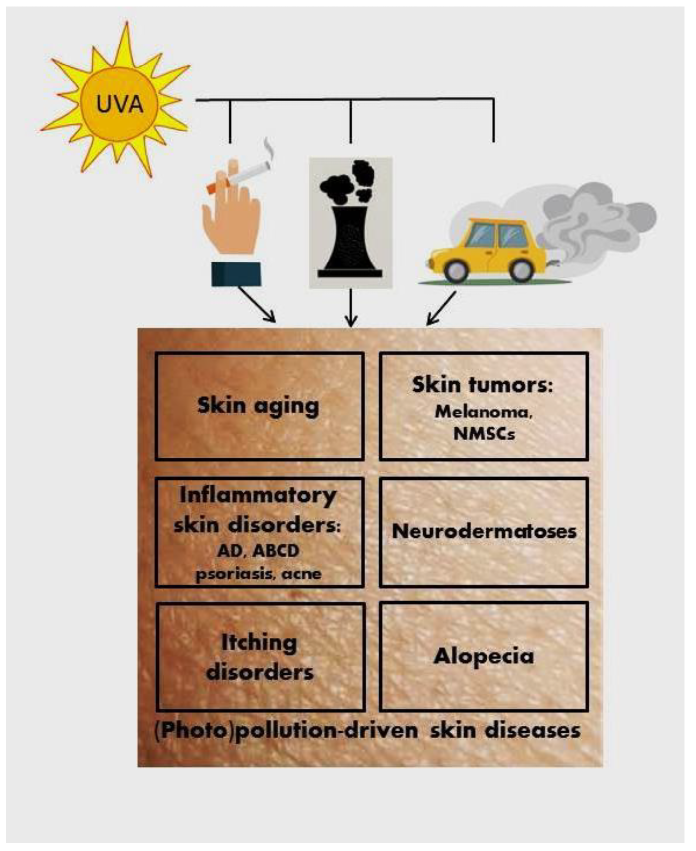 Ijms 24 10502 g001 Ijms 24 10502 g001