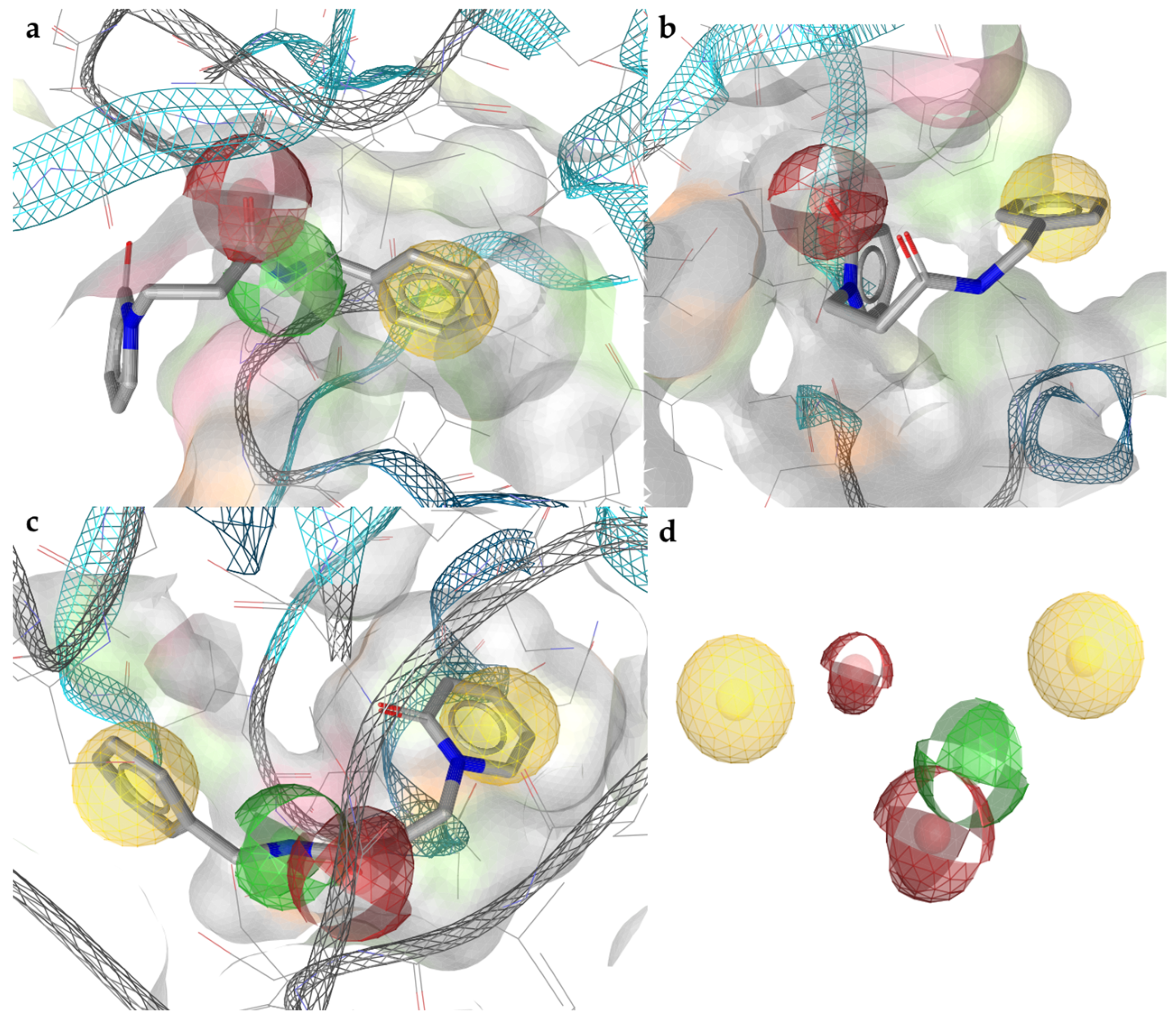 Ijms 24 10504 g001 Ijms 24 10504 g001