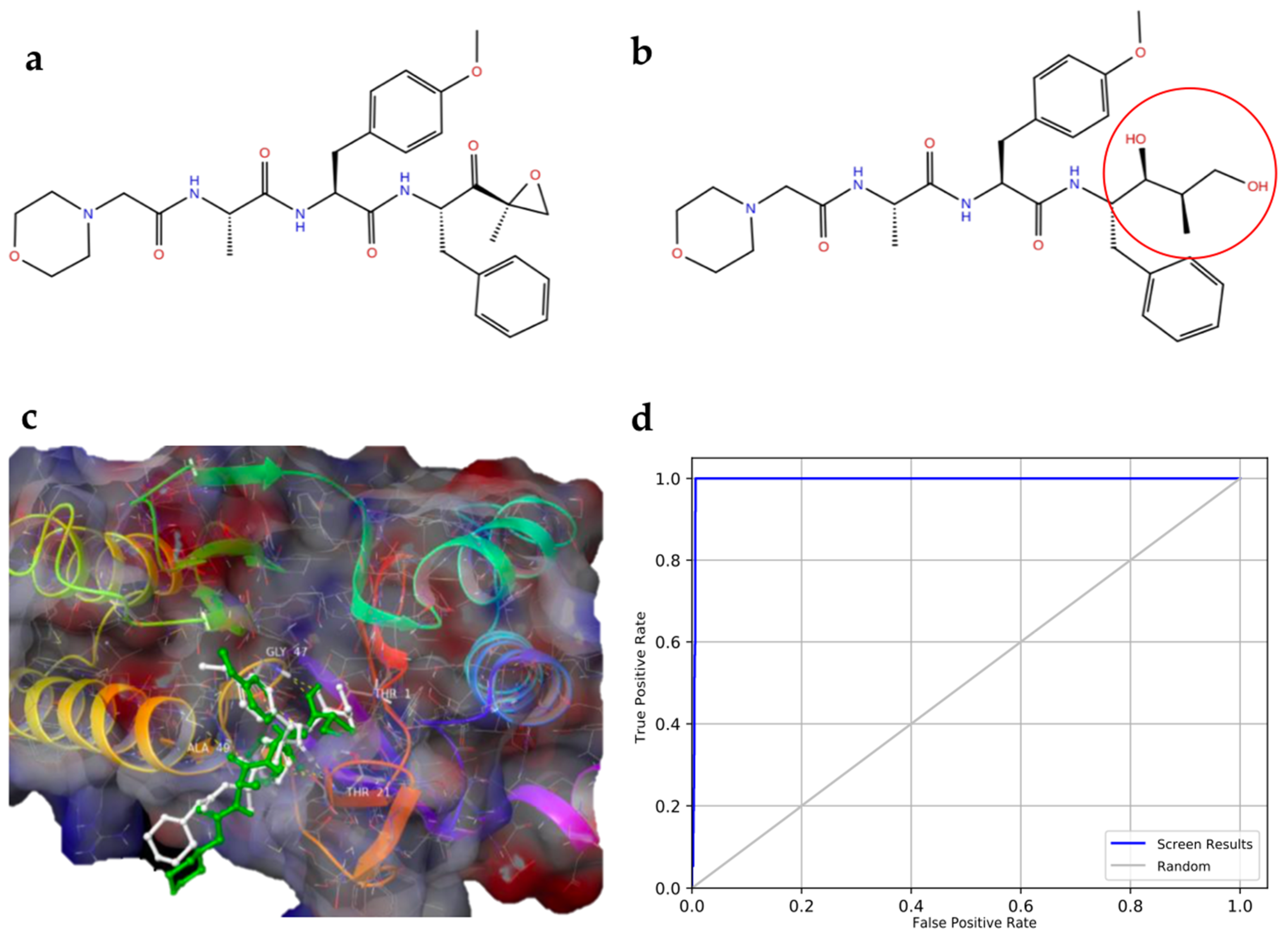 Ijms 24 10504 g004 Ijms 24 10504 g004