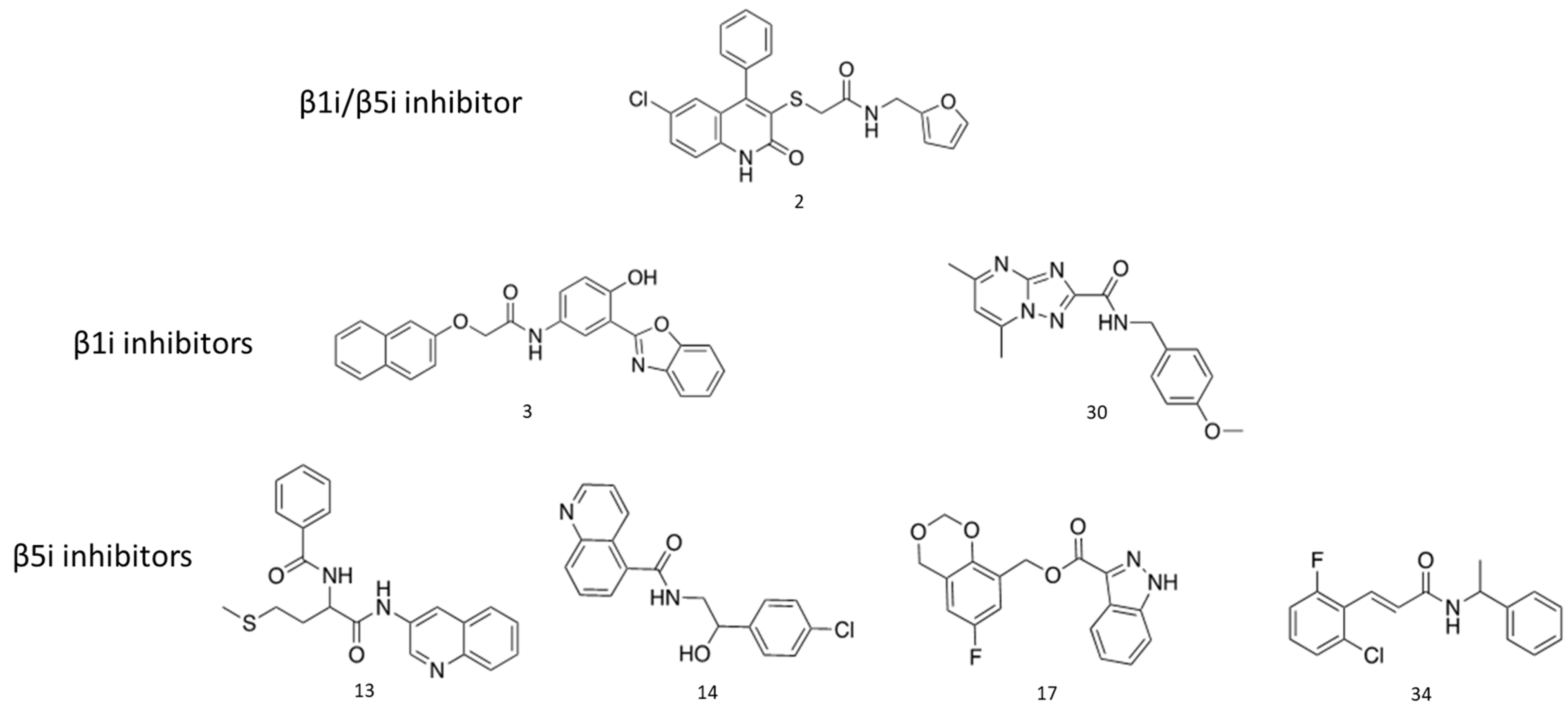 Ijms 24 10504 sch002 Ijms 24 10504 sch002