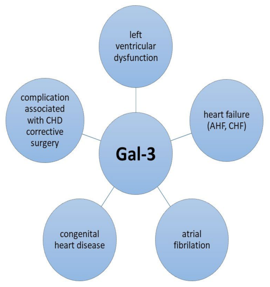 Ijms 24 10511 g002 Ijms 24 10511 g002