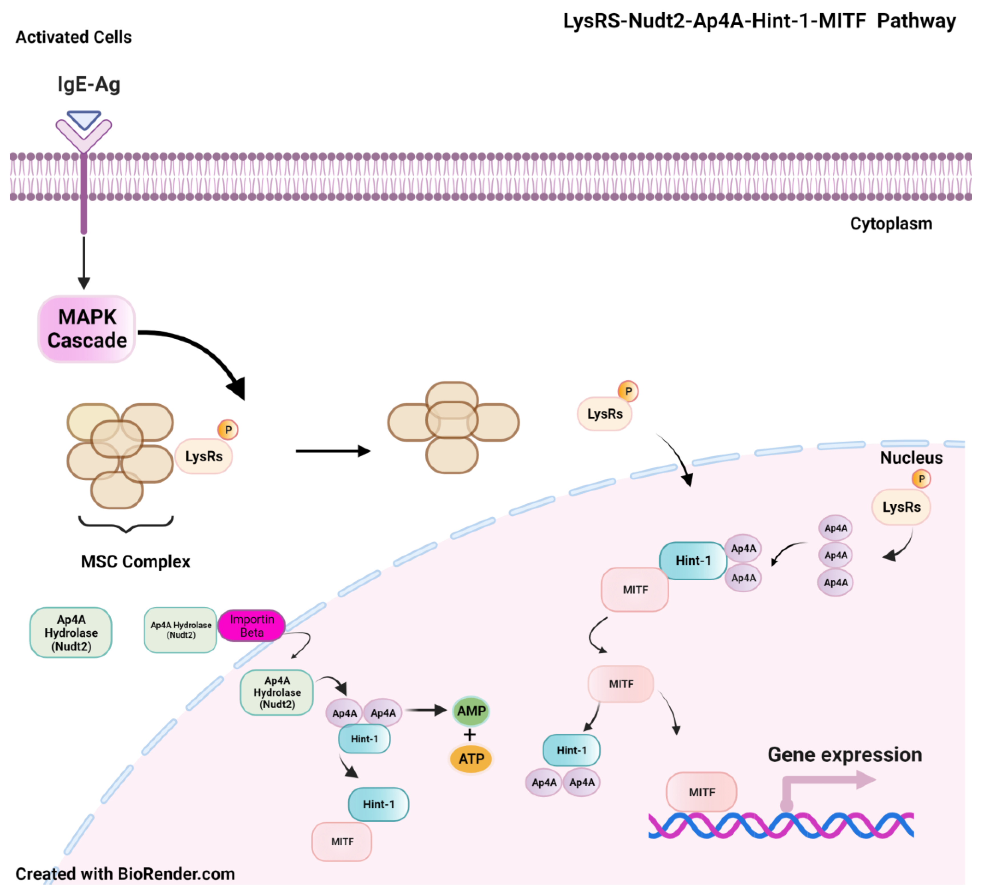 Ijms 24 10513 sch001