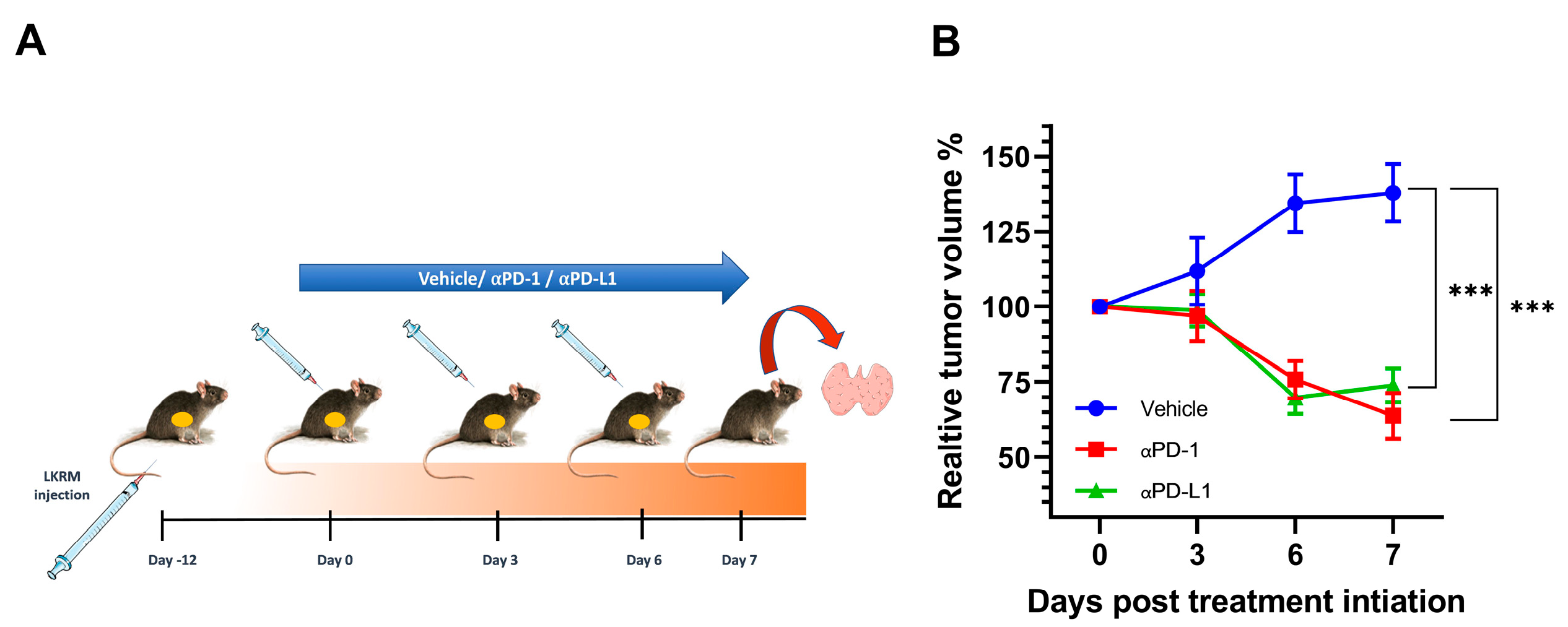 Ijms 24 10526 g001 Ijms 24 10526 g001