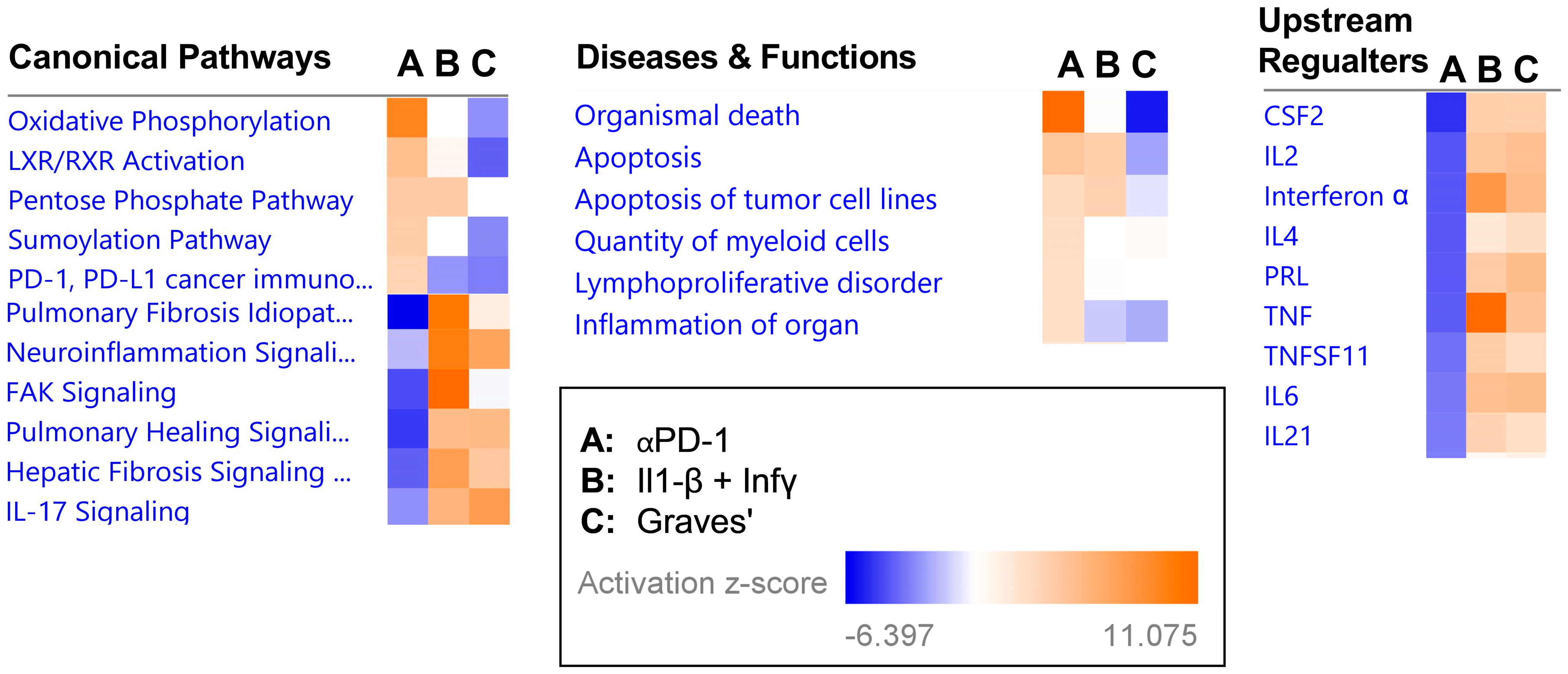 Ijms 24 10526 g004 Ijms 24 10526 g004
