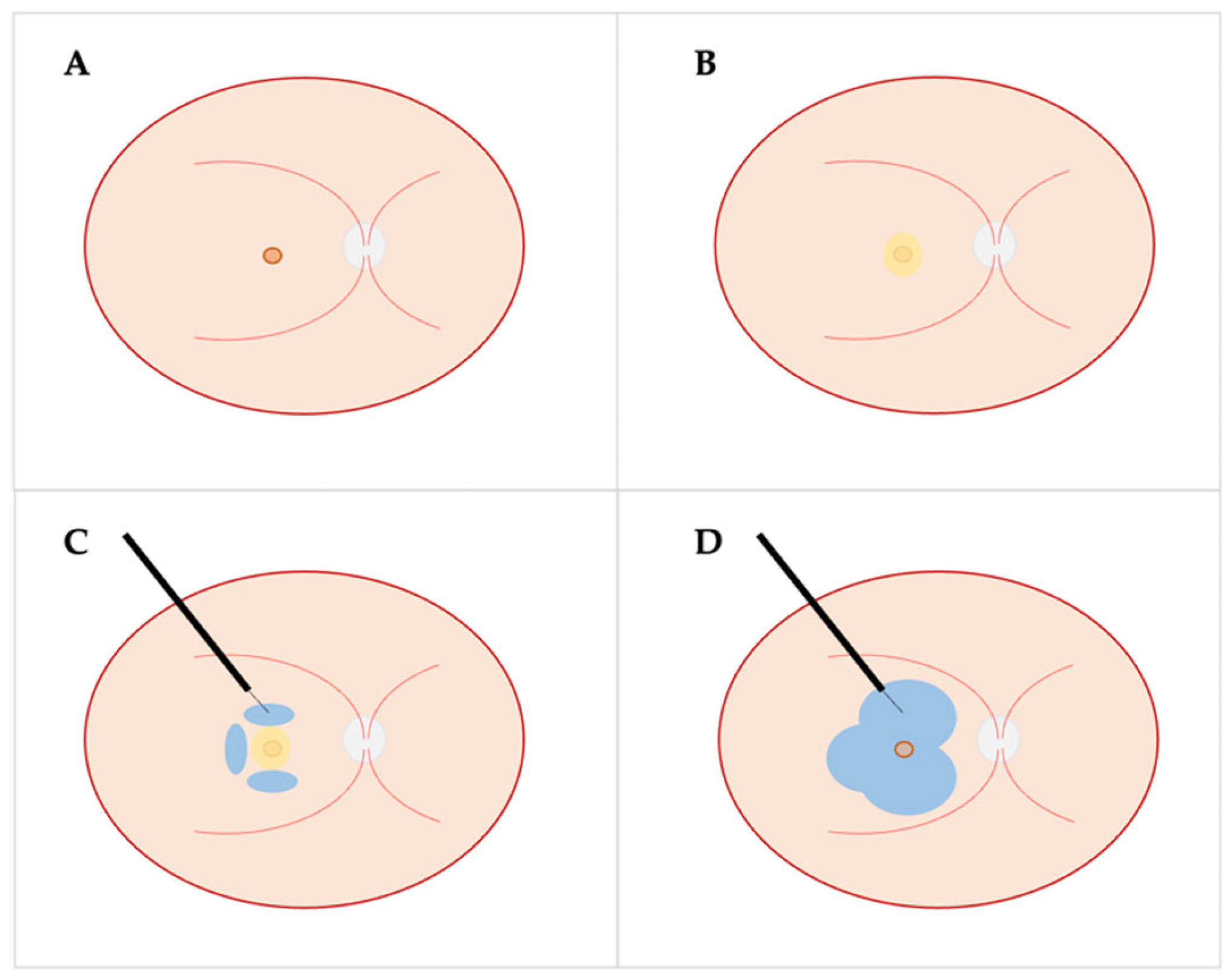 Ijms 24 10535 g003 Ijms 24 10535 g003
