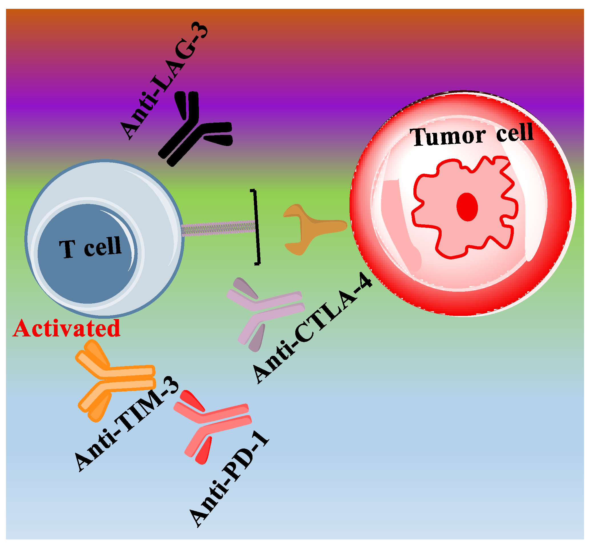 Ijms 24 10546 g004 Ijms 24 10546 g004