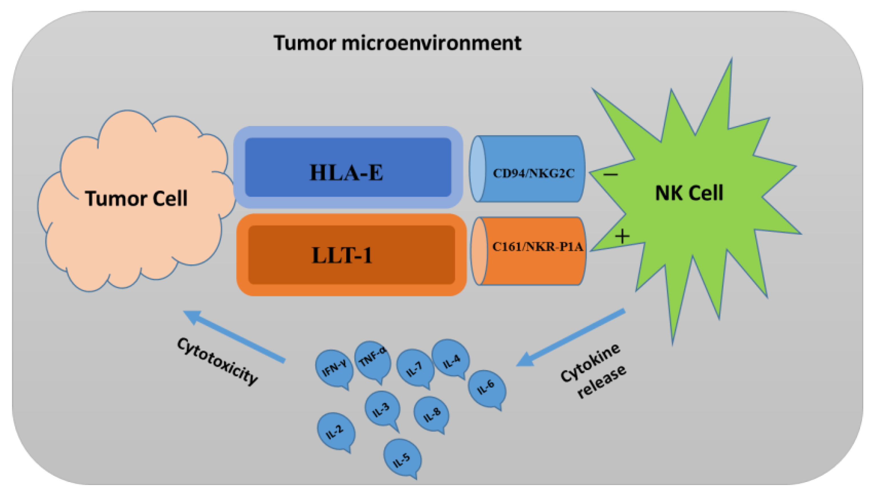 Ijms 24 10546 g007 Ijms 24 10546 g007