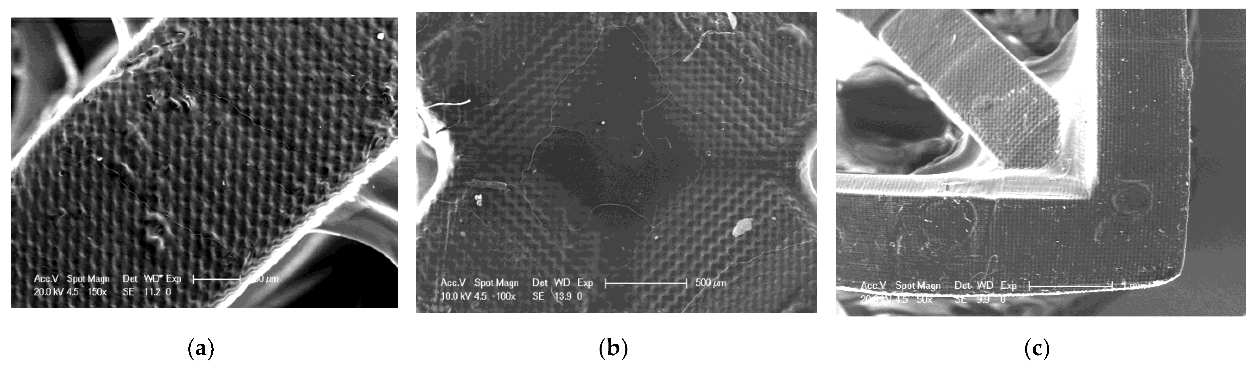 Ijms 24 10549 g020 Ijms 24 10549 g020