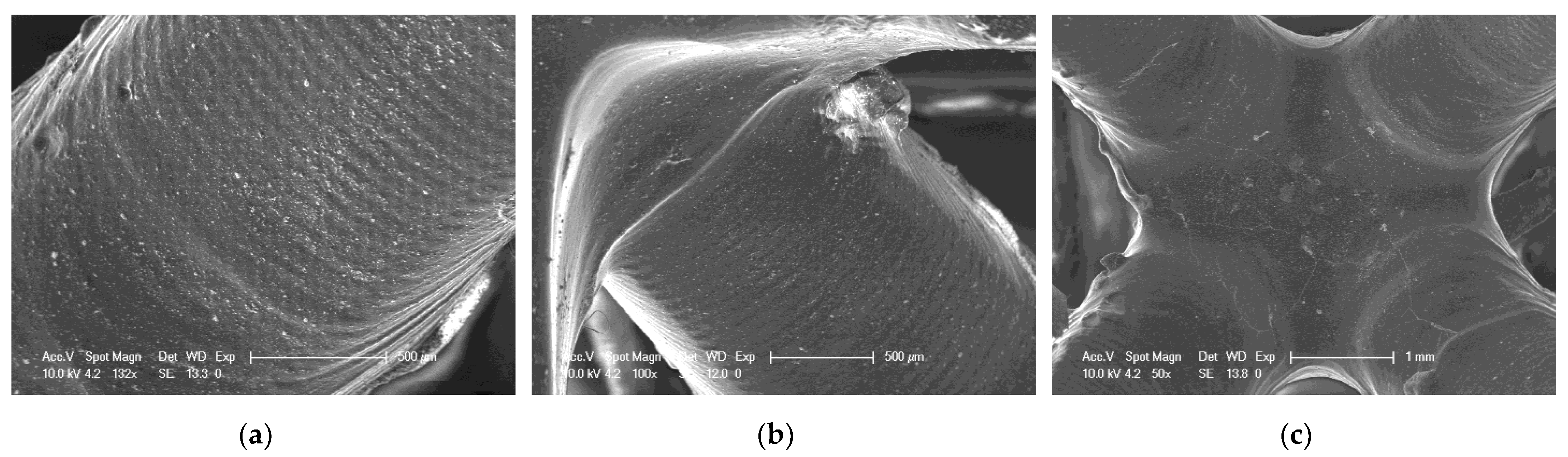 Ijms 24 10549 g021 Ijms 24 10549 g021