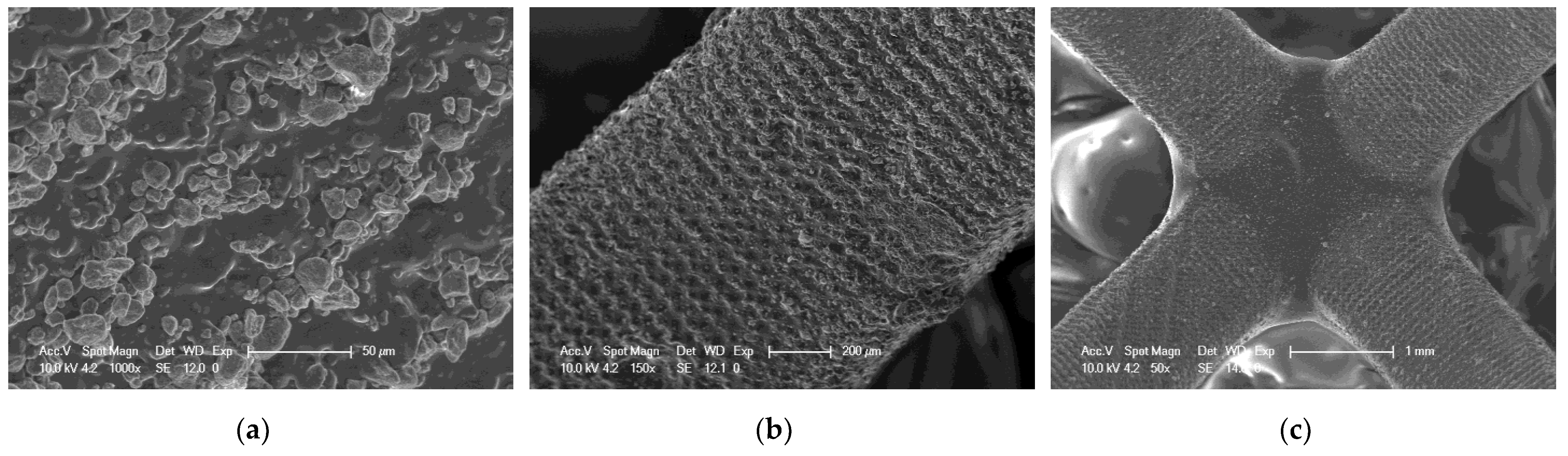 Ijms 24 10549 g022 Ijms 24 10549 g022