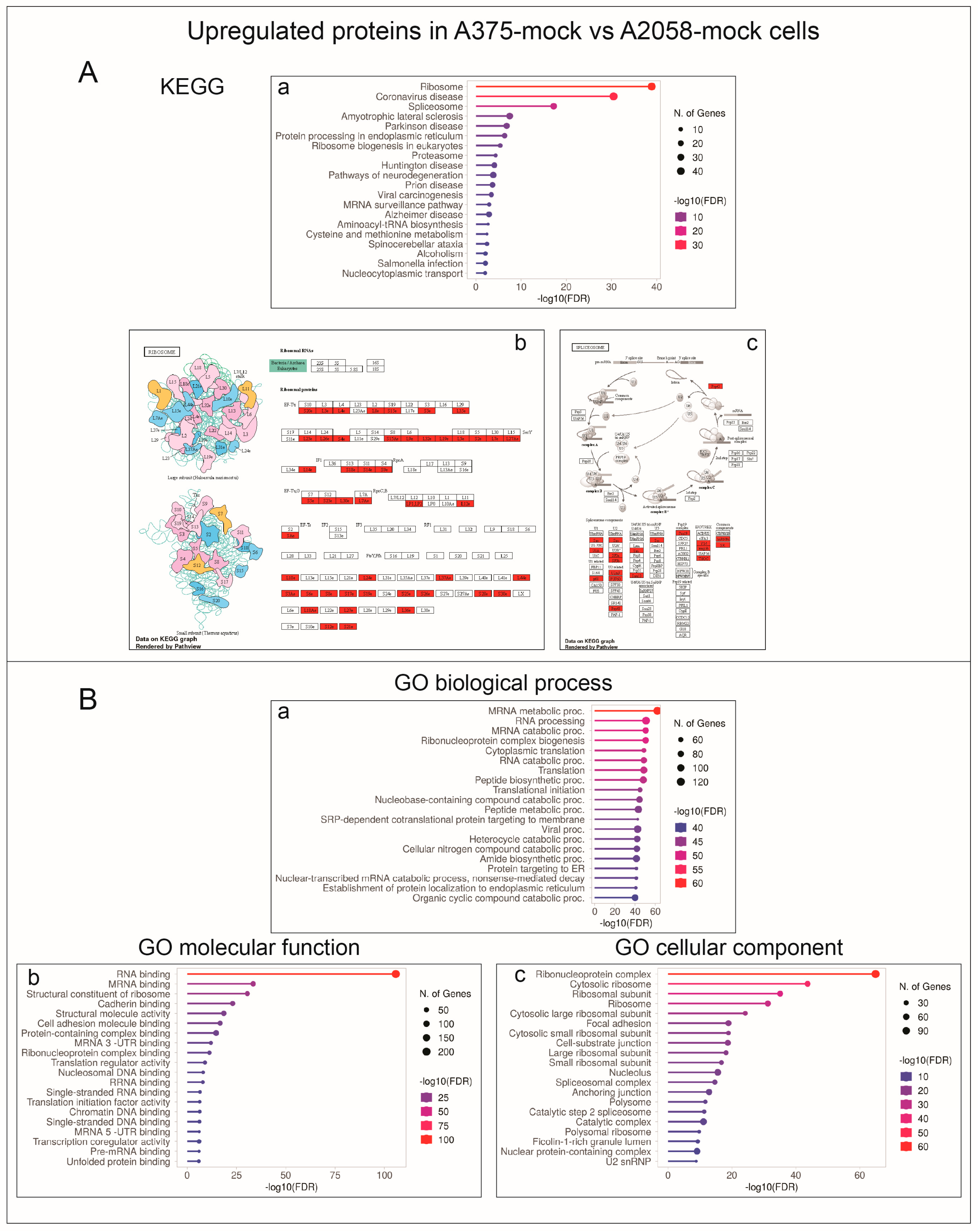 Ijms 24 10555 g004 Ijms 24 10555 g004