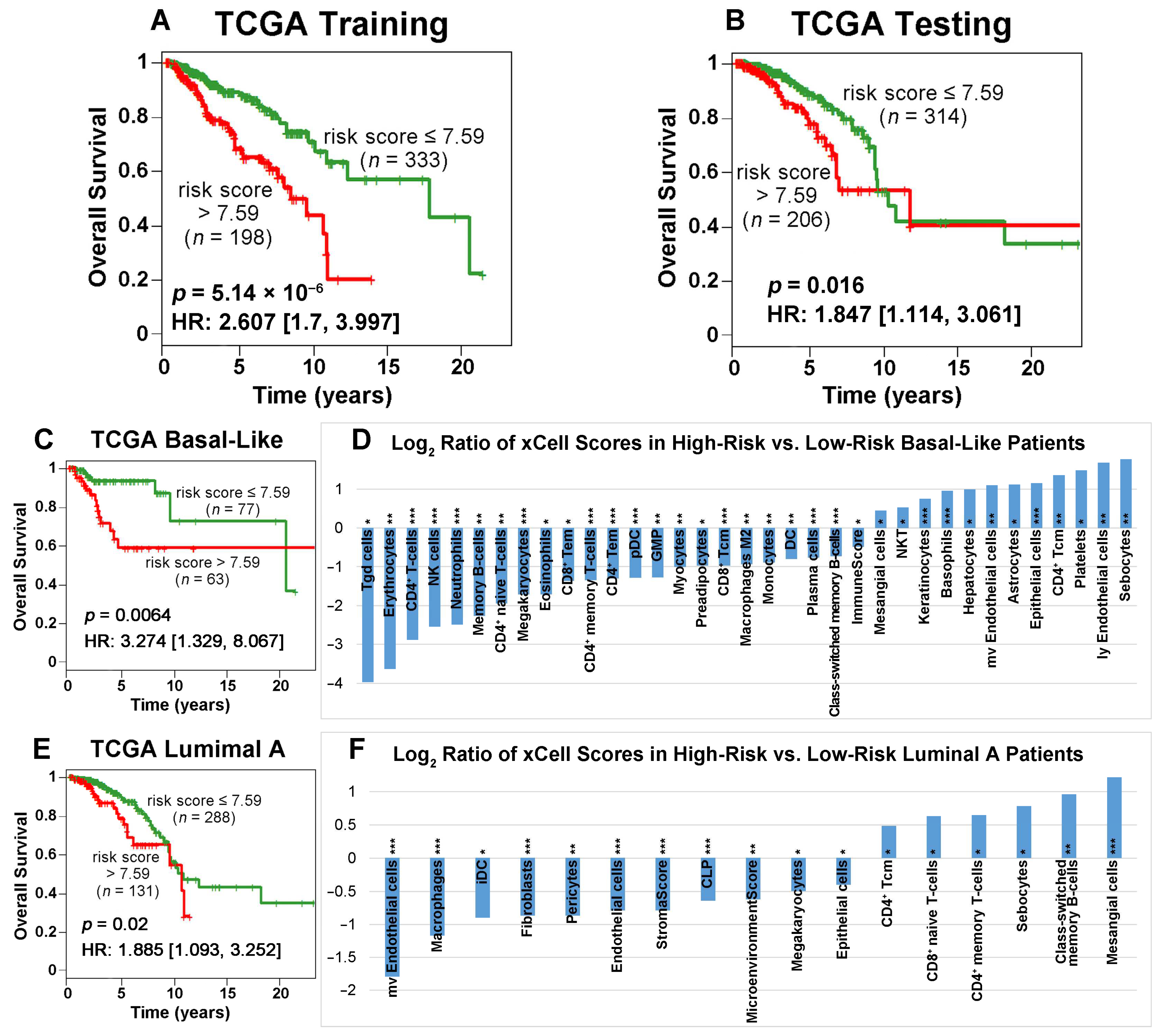 Ijms 24 10561 g004 Ijms 24 10561 g004