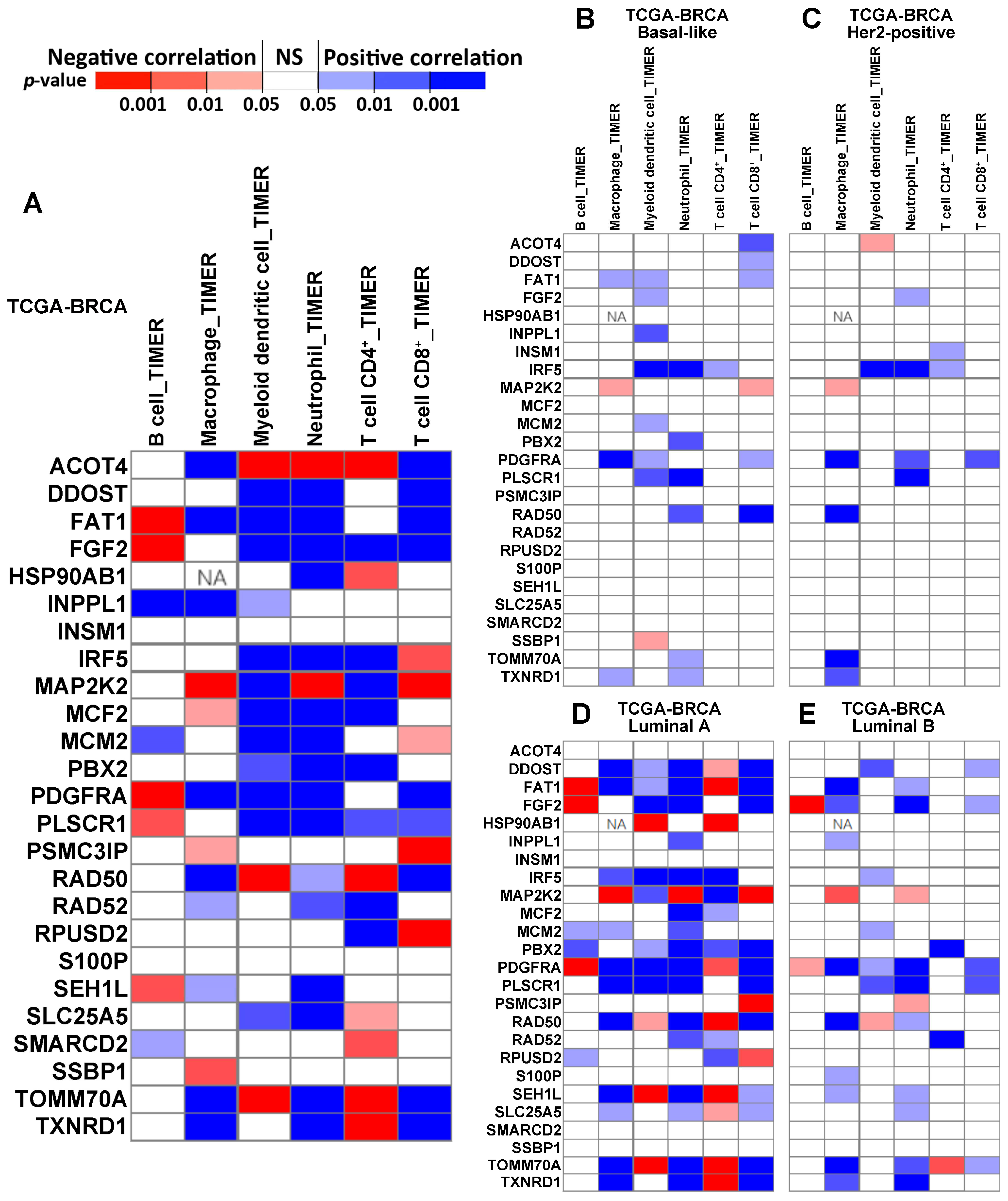 Ijms 24 10561 g005 Ijms 24 10561 g005