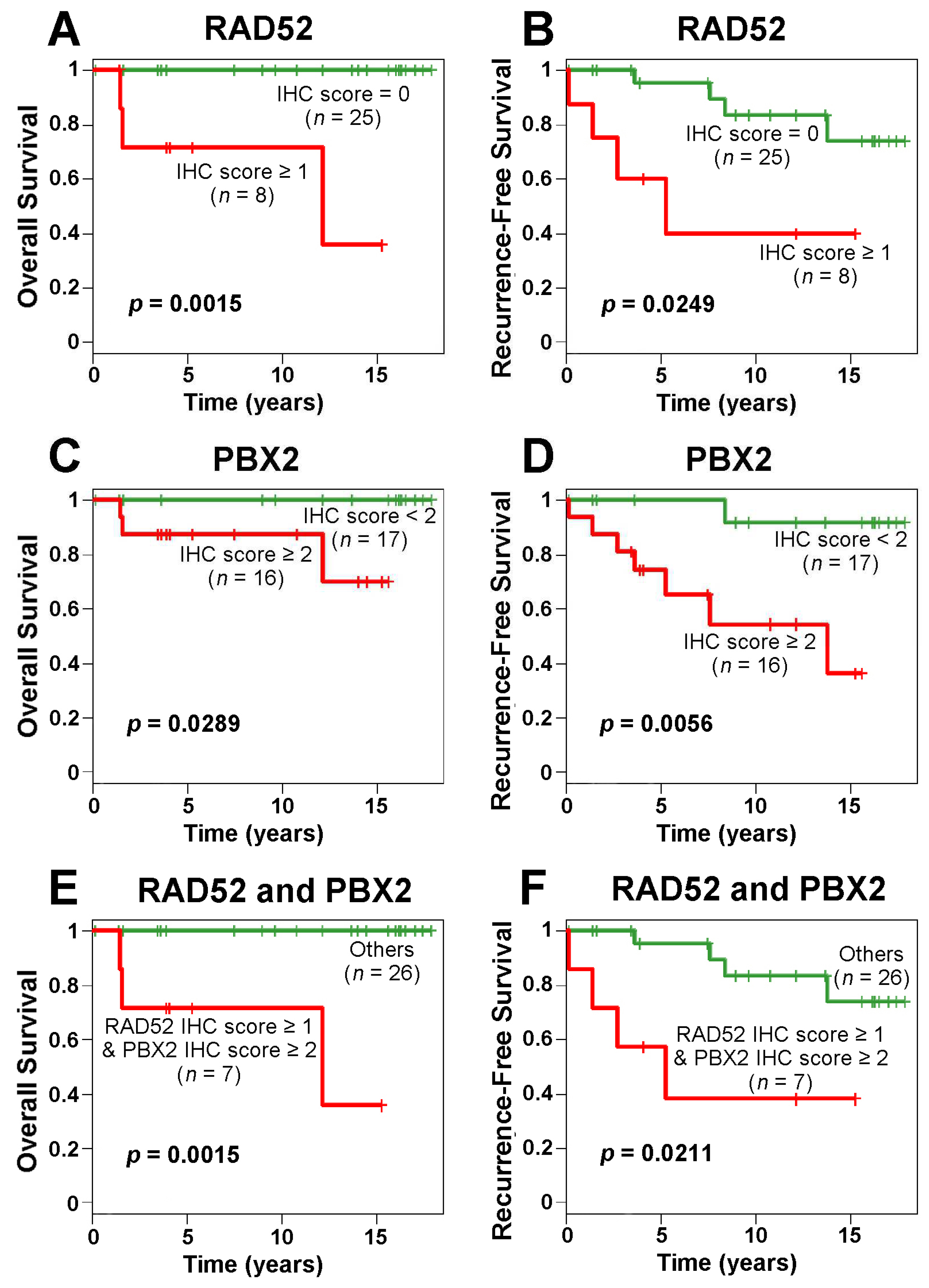 Ijms 24 10561 g007 Ijms 24 10561 g007