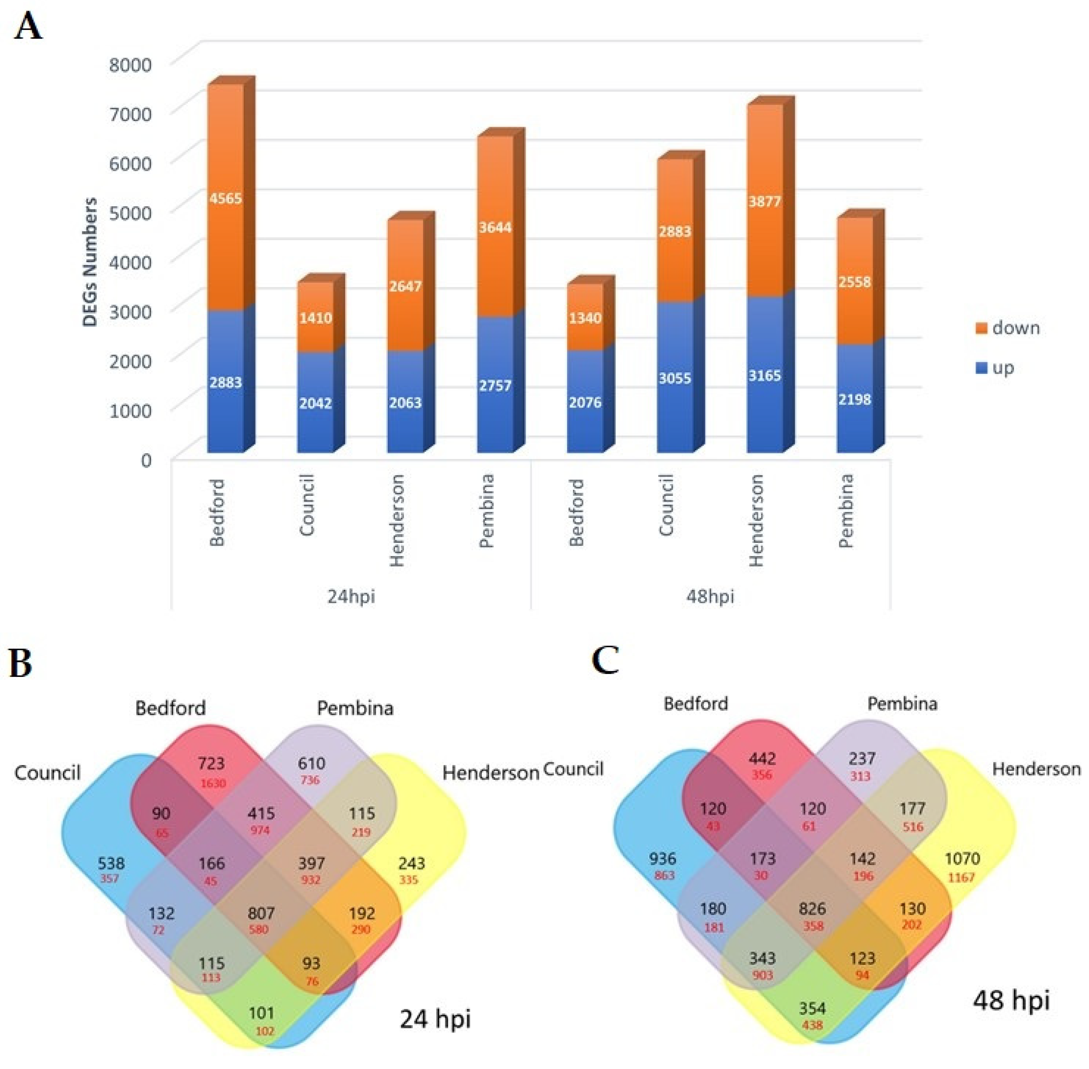 Ijms 24 10563 g001 Ijms 24 10563 g001